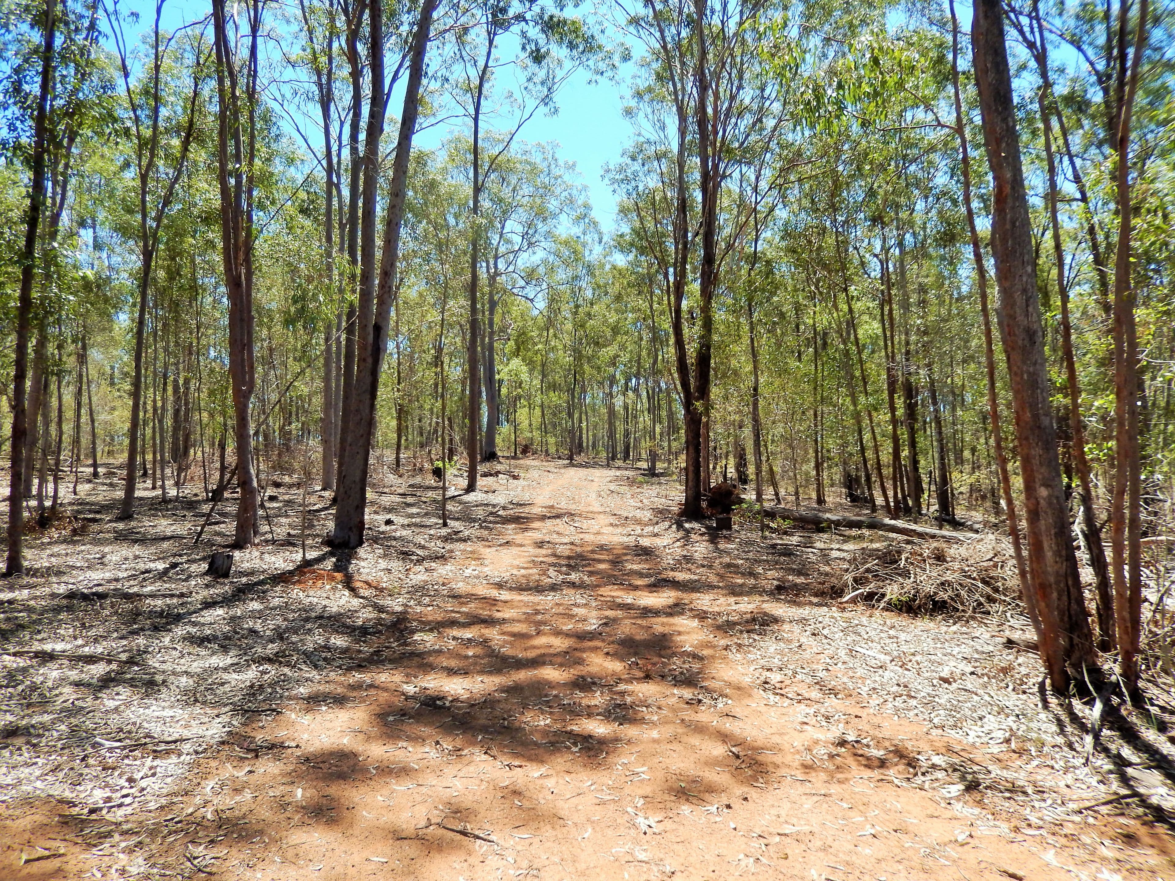 879-930 Rosewood-Laidley Road, Calvert QLD 4340, Calvert - Thumbnail 5