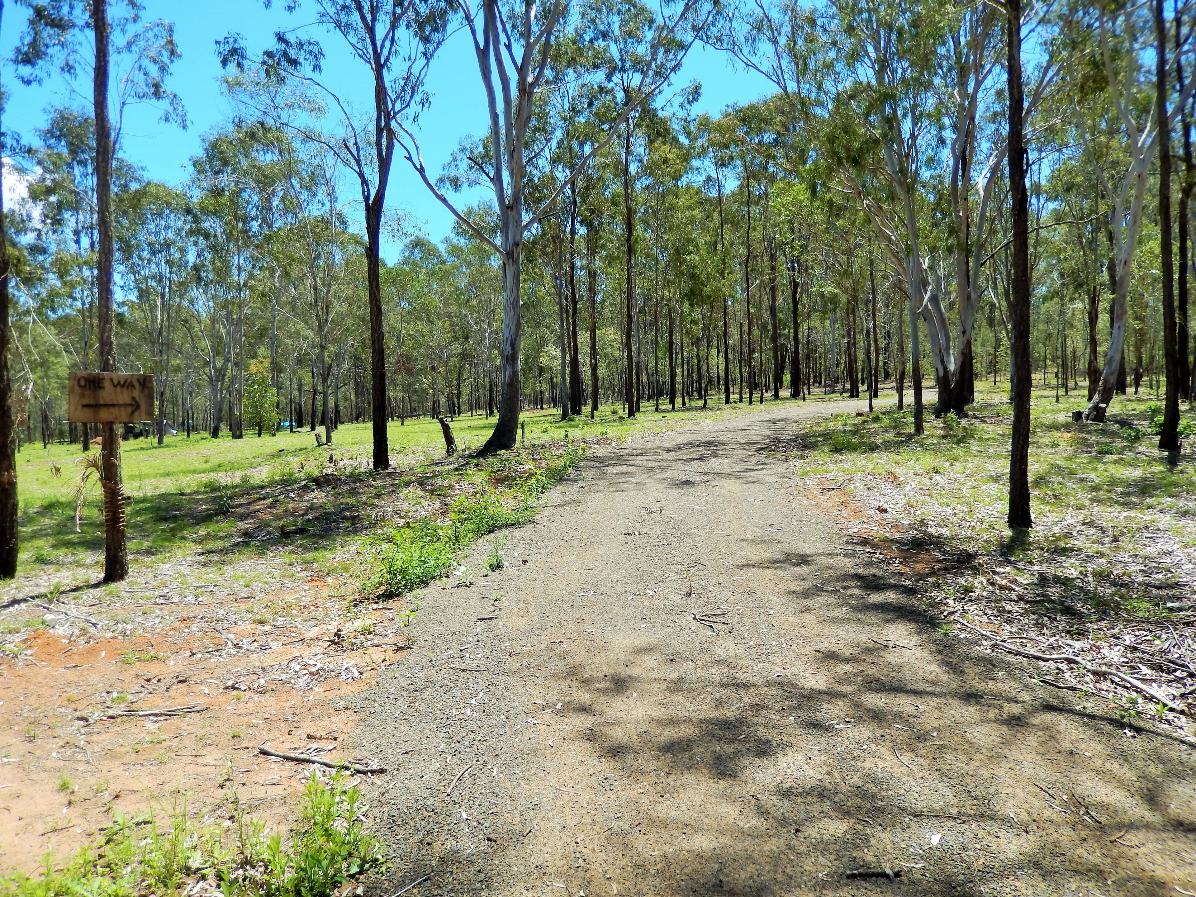 879-930 Rosewood-Laidley Road, Calvert QLD 4340, Calvert - Thumbnail 7