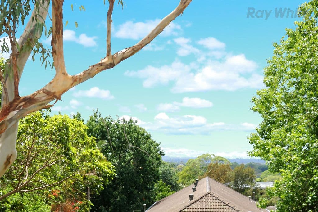 35 Lorne Avenue, Killara NSW 2071, Killara - Thumbnail 4