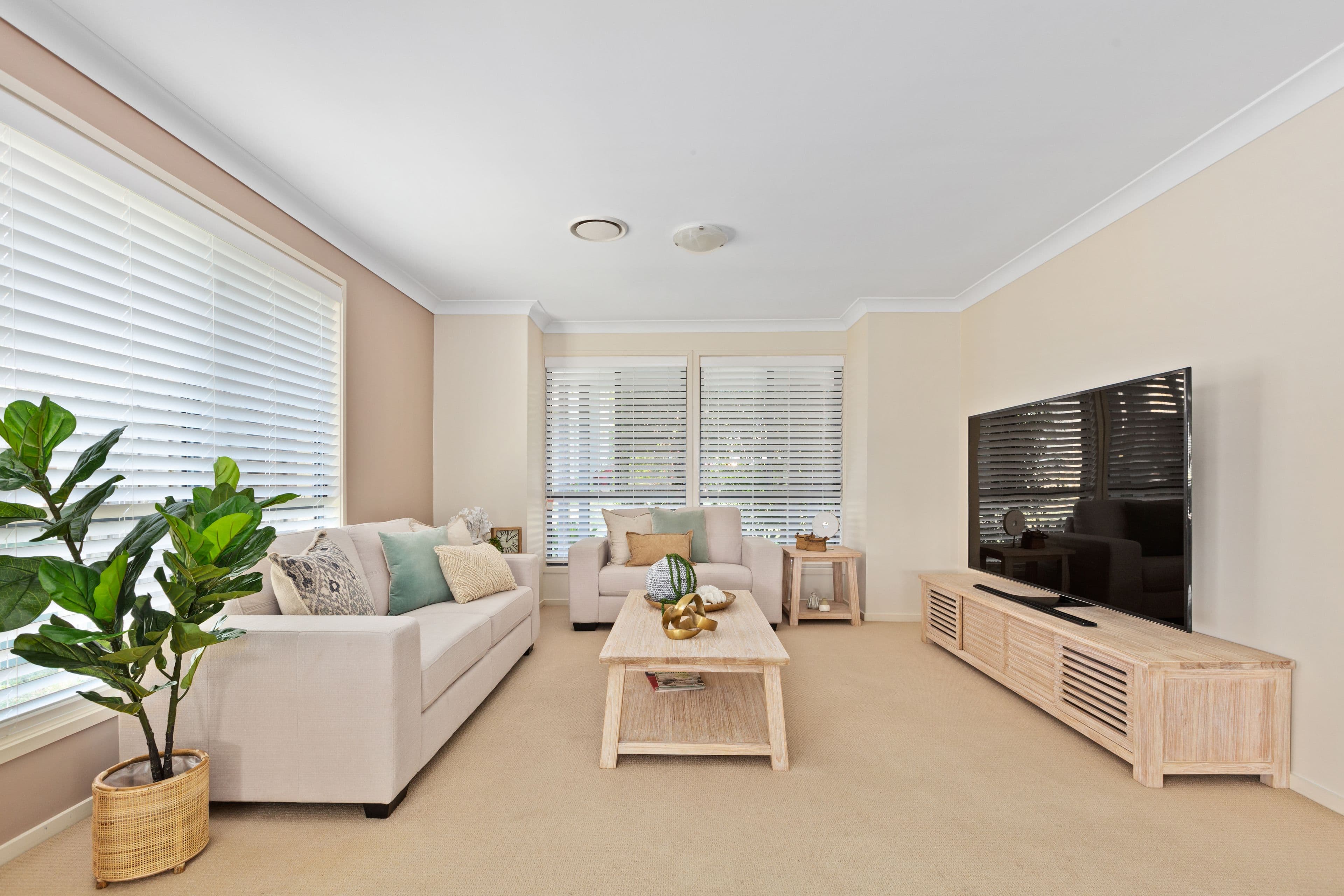 19 Treetop Circuit, Quakers Hill NSW 2763, Quakers Hill - Thumbnail 4