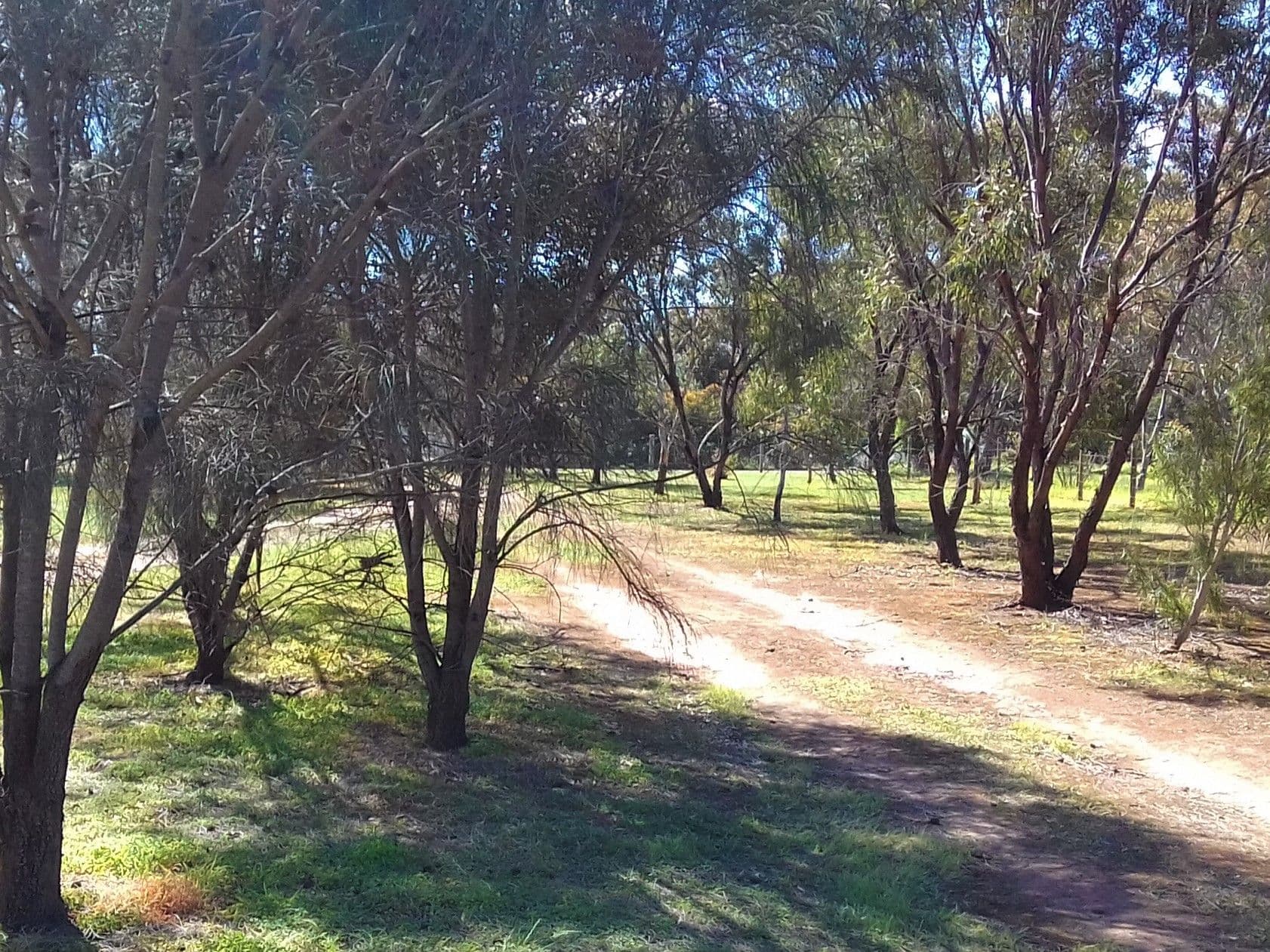 11 Atkinson Road, Kanmantoo SA 5252, Kanmantoo - Thumbnail 6