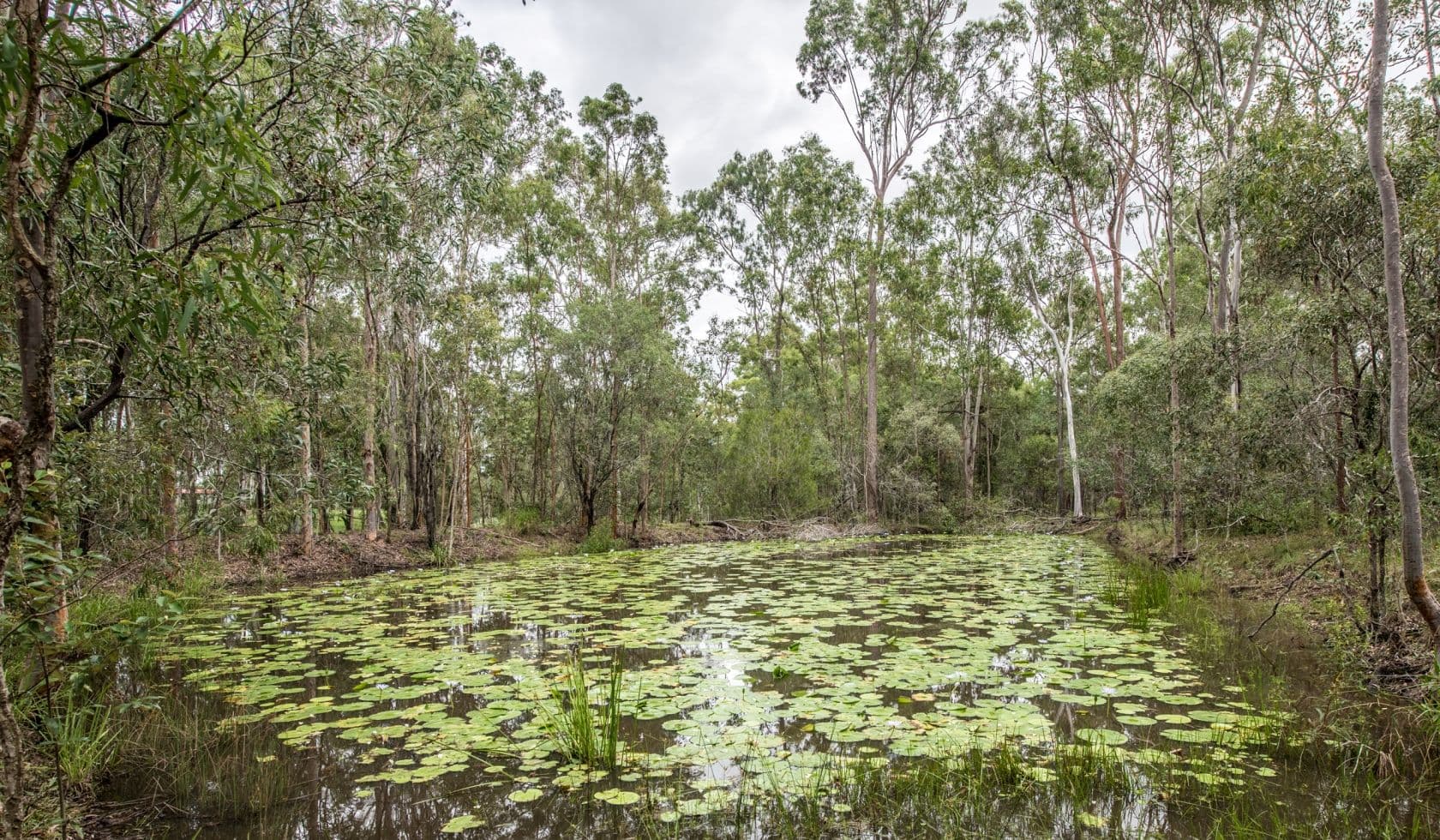123 to 135 Abell Road, JIMBOOMBA QLD 4280, Jimboomba - Thumbnail 3