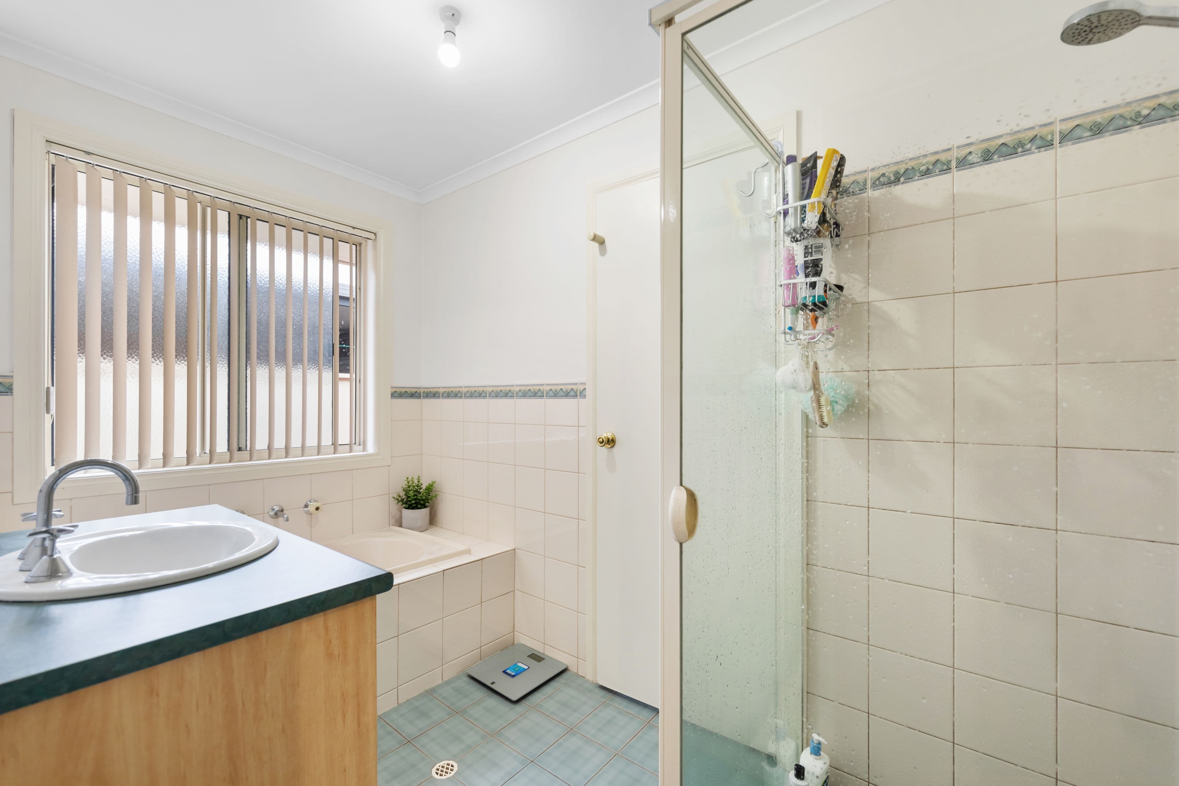 3B Anne Street, Smithfield SA 5114, Smithfield - Thumbnail 6