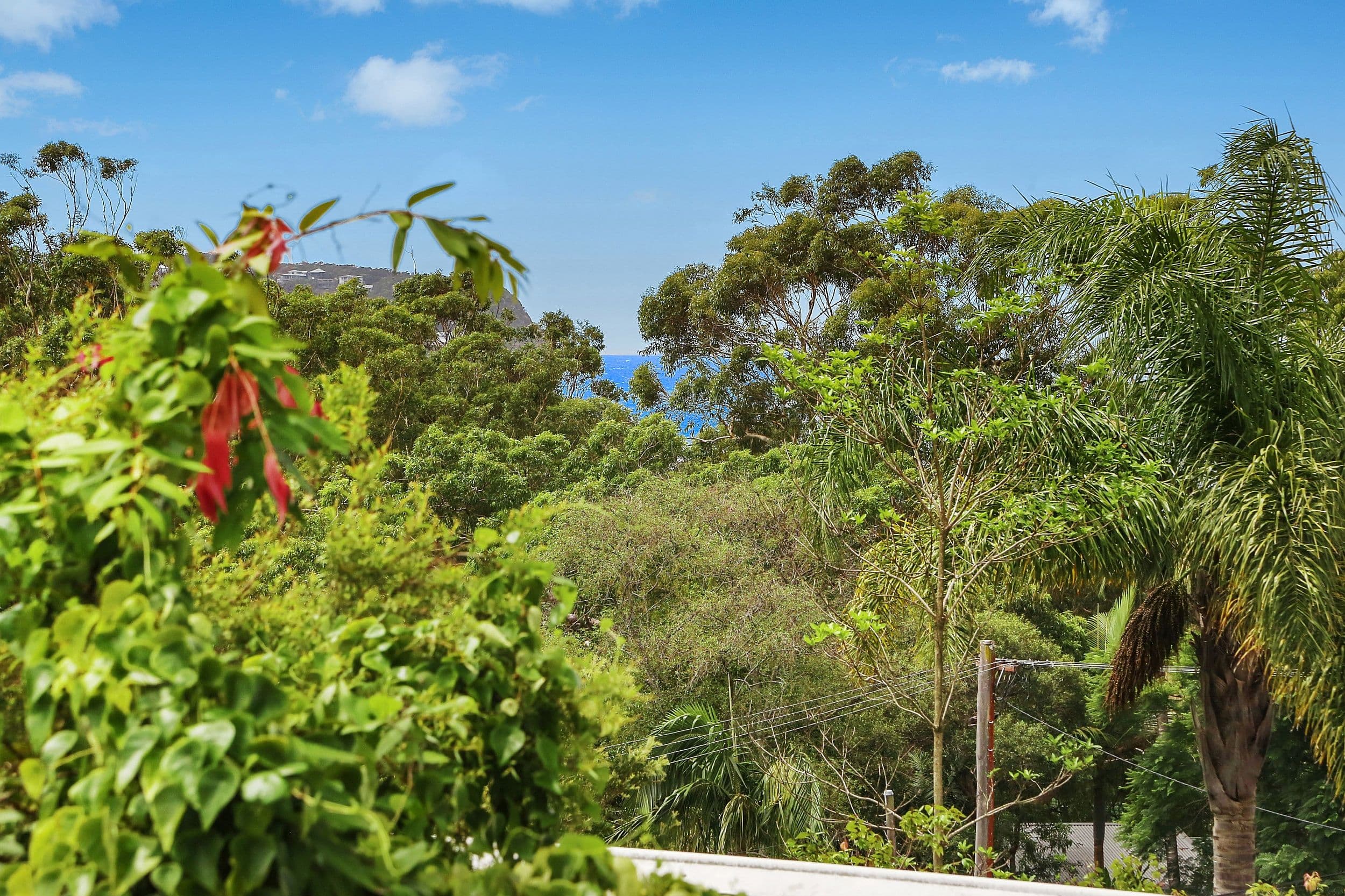 498 The Scenic Road, Macmasters Beach - Thumbnail 4
