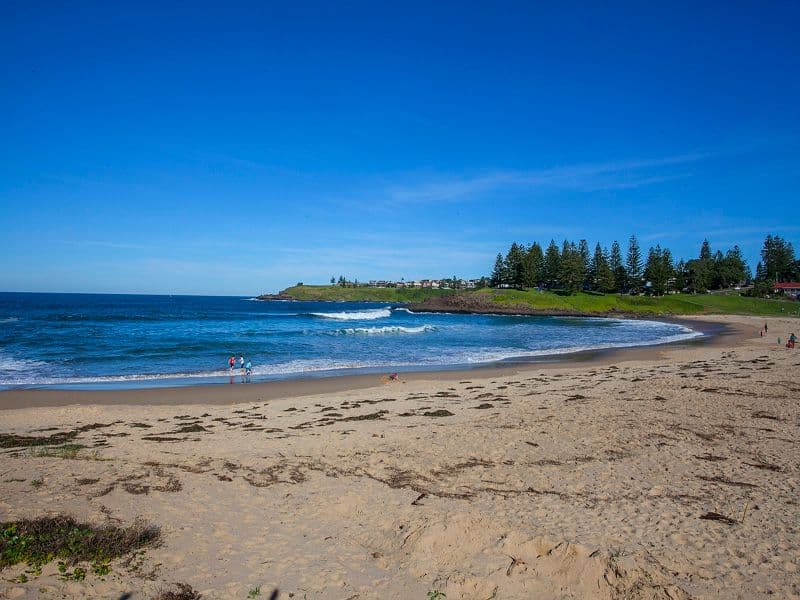 5 Sommerville  Close, Kiama NSW 2533, Kiama - Thumbnail 5