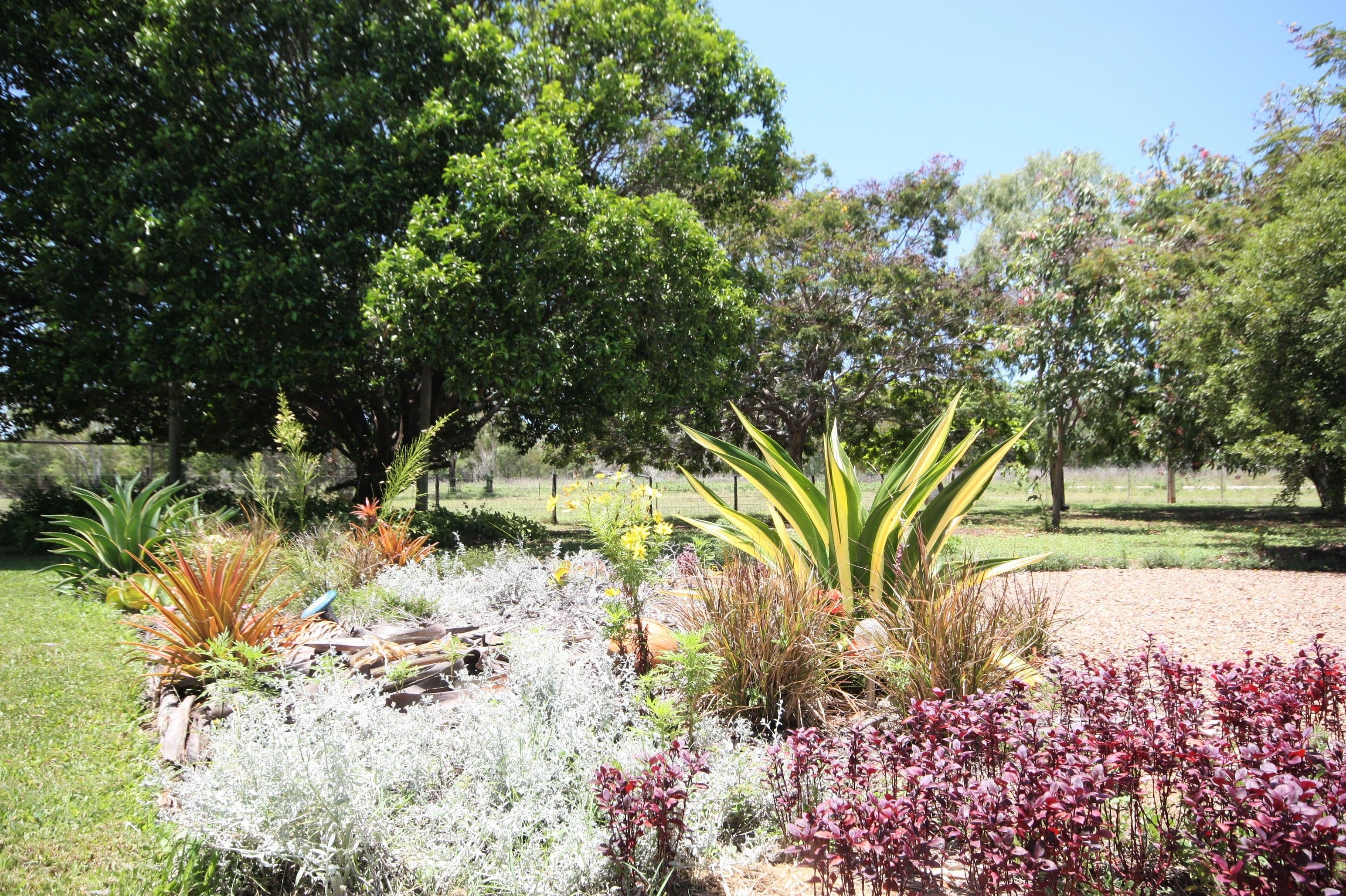 434 Sandhill Road, Rita Island QLD 4807, Rita Island - Thumbnail 4