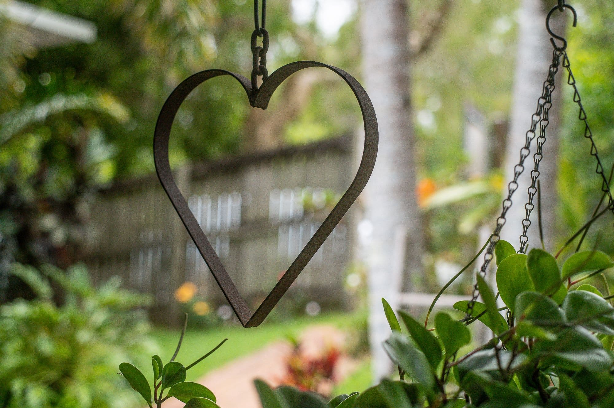 Eumundi QLD 4562, Eumundi - Thumbnail 5