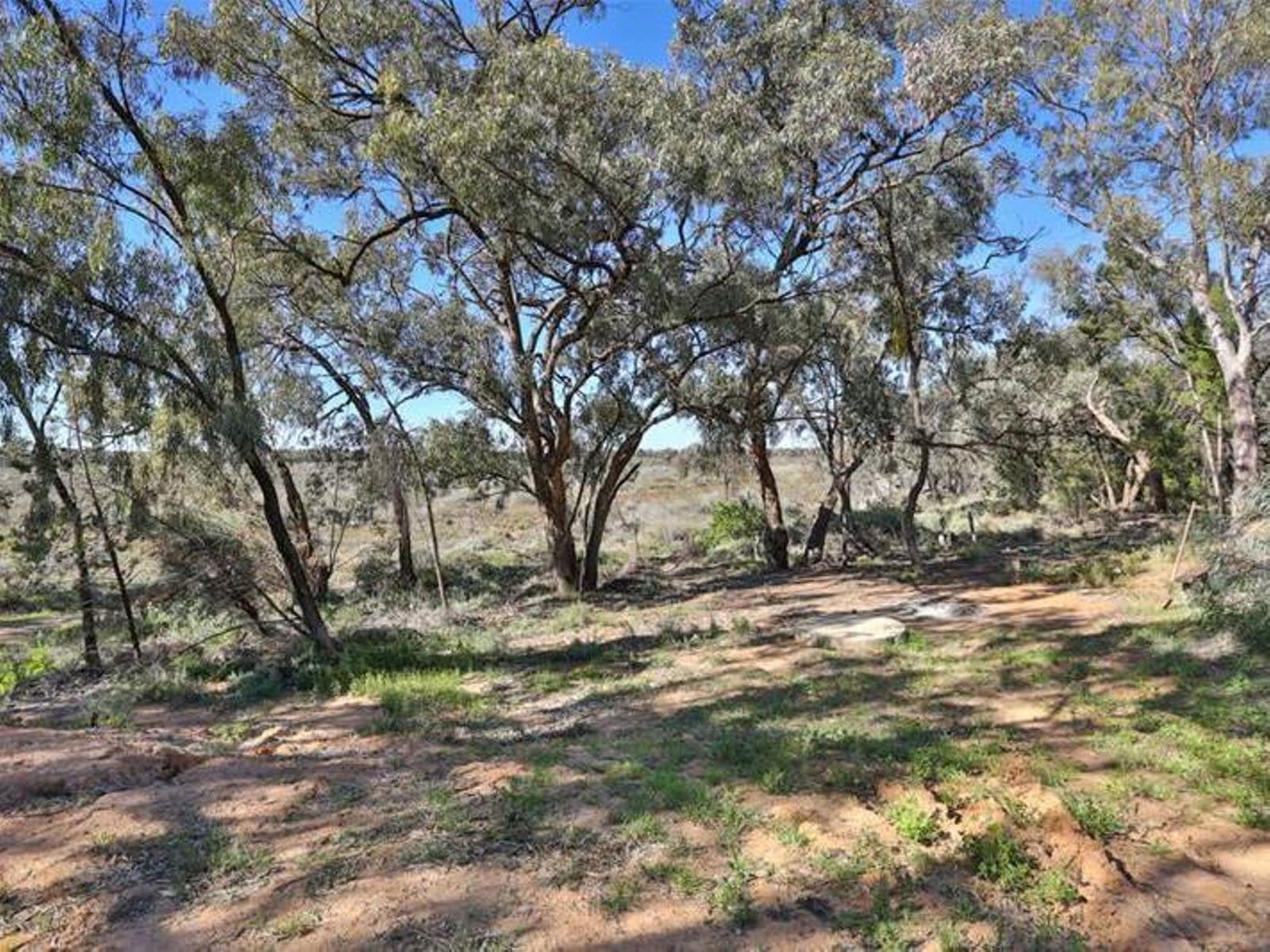 20 Psyche Bend Road, Irymple - Thumbnail 8