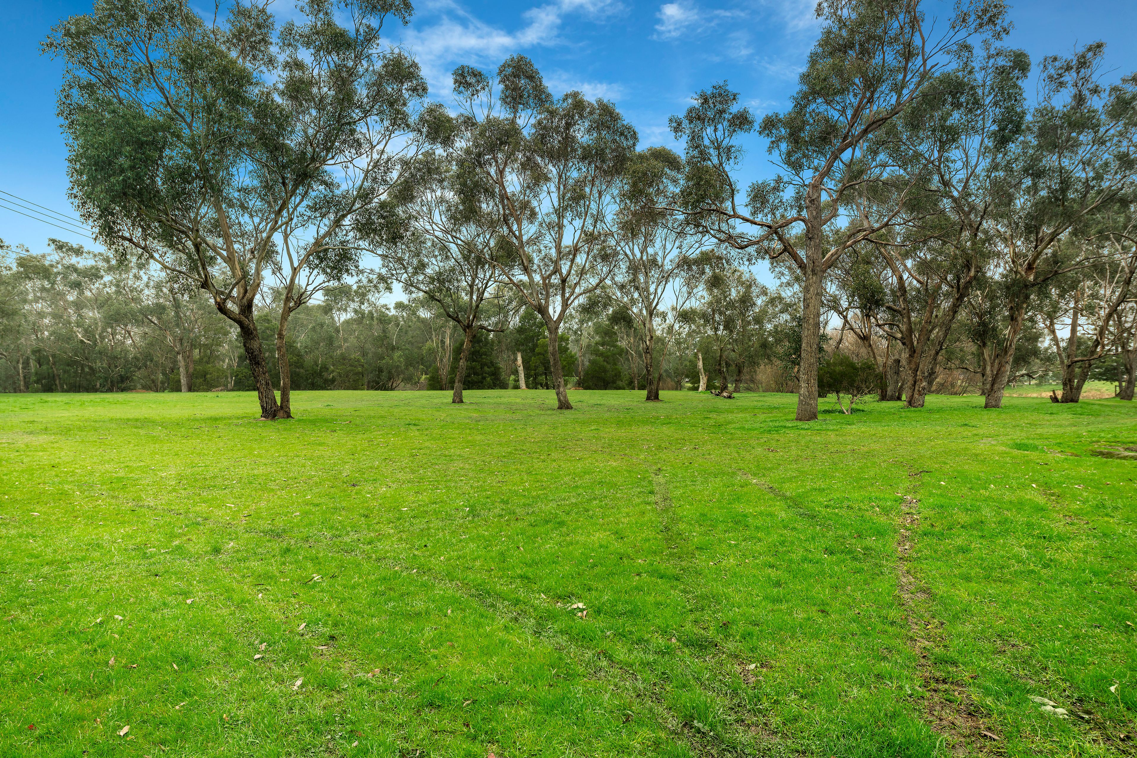 29 Karingal Street, Croydon North VIC 3136, Croydon North - Thumbnail 5