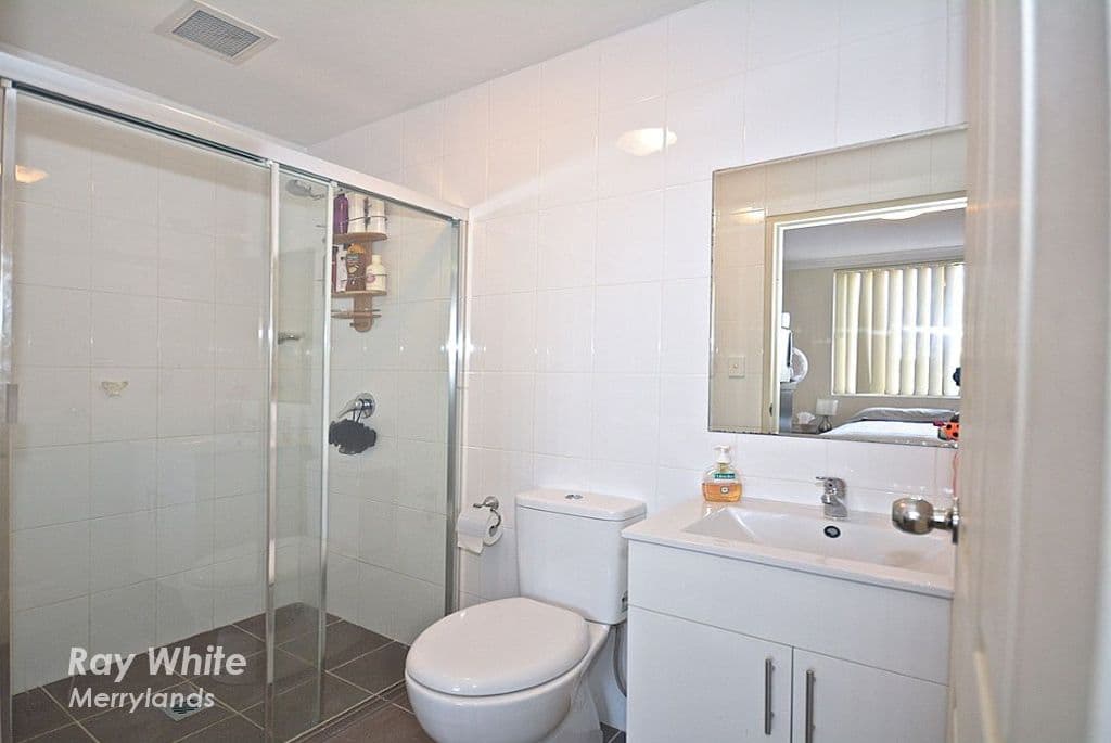 215 Woodville Road, Merrylands NSW 2160, Merrylands - Thumbnail 6