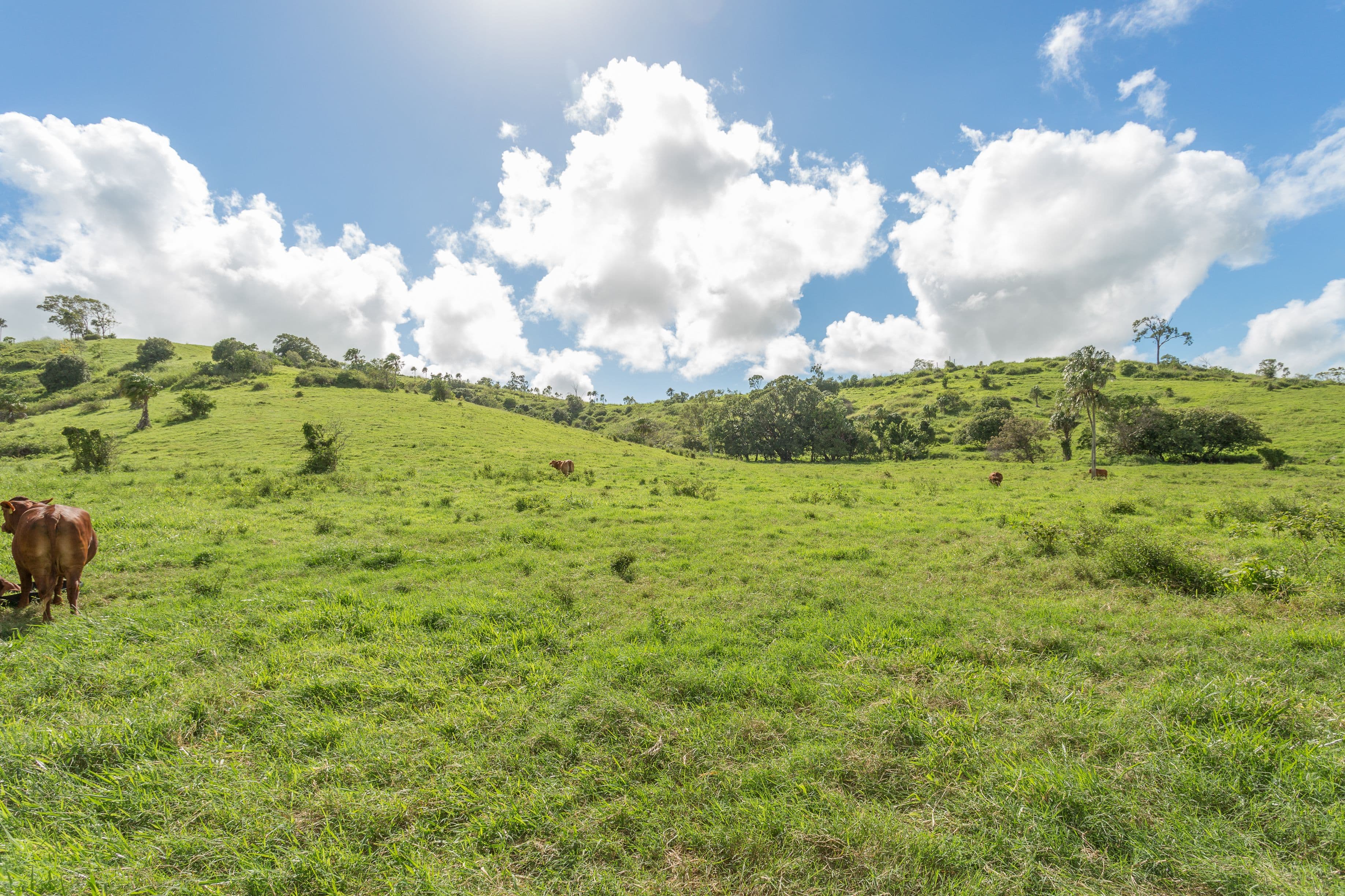 453 Grasstree Road, Grasstree Beach QLD 4740, Grasstree Beach - Thumbnail 6