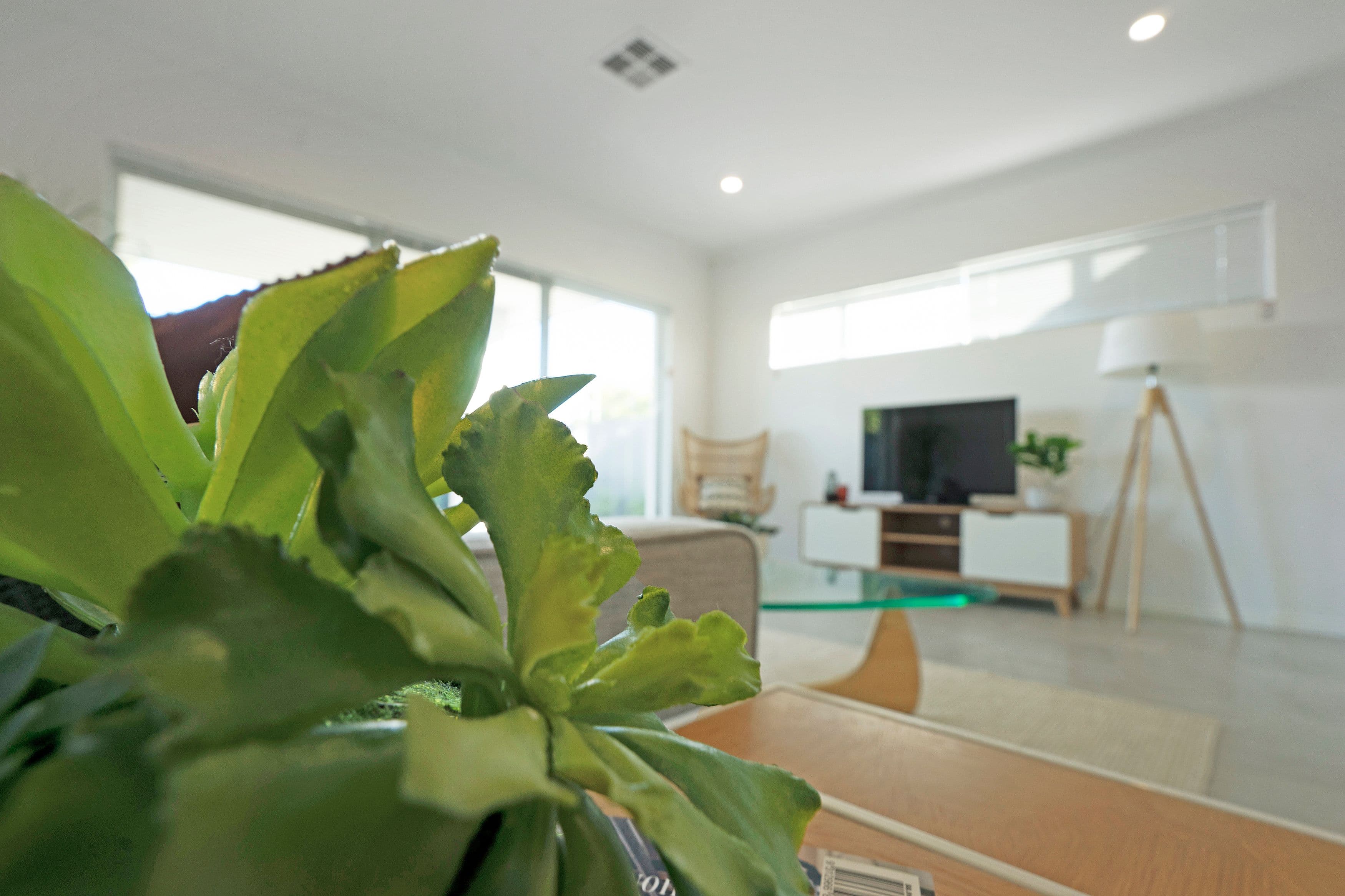 36A Crowhurst Way, Morley WA 6062, Morley - Thumbnail 5