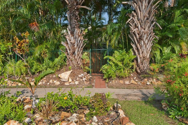 152 Casuarina Drive, NIGHTCLIFF NT 0810, Nightcliff - Thumbnail 4