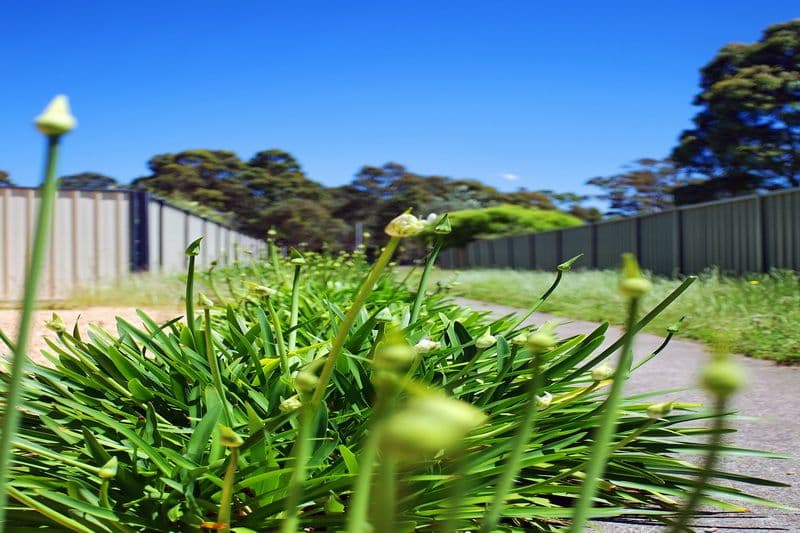 Lot 6 Alpina Place, WORRIGEE NSW 2540, Worrigee - Thumbnail 3