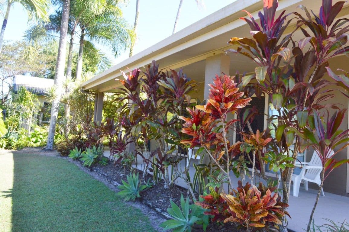 15 McNamara Street, Wongaling Beach QLD 4852, Wongaling Beach - Thumbnail 3