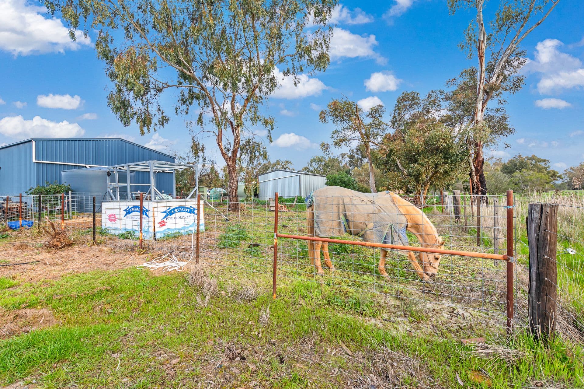 6543 Northern Highway, Rochester VIC 3561, Rochester - Thumbnail 6