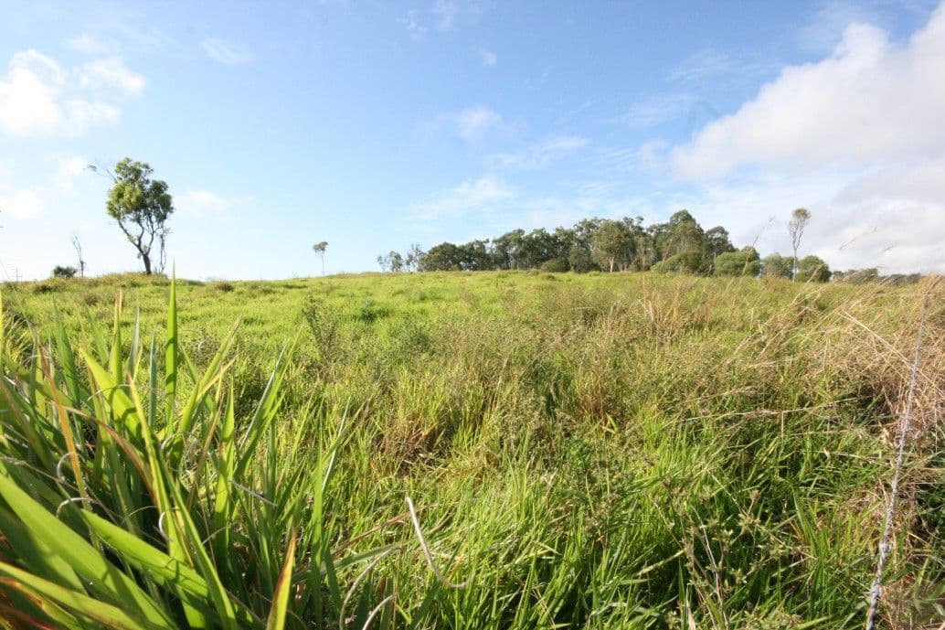 942 Hay Point, HAY POINT QLD 4740, Hay Point - Thumbnail 5