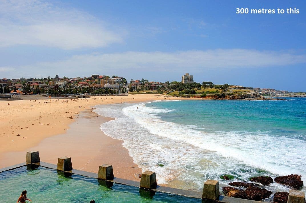 332 Arden Street, Coogee NSW 2034, Coogee - Thumbnail 3