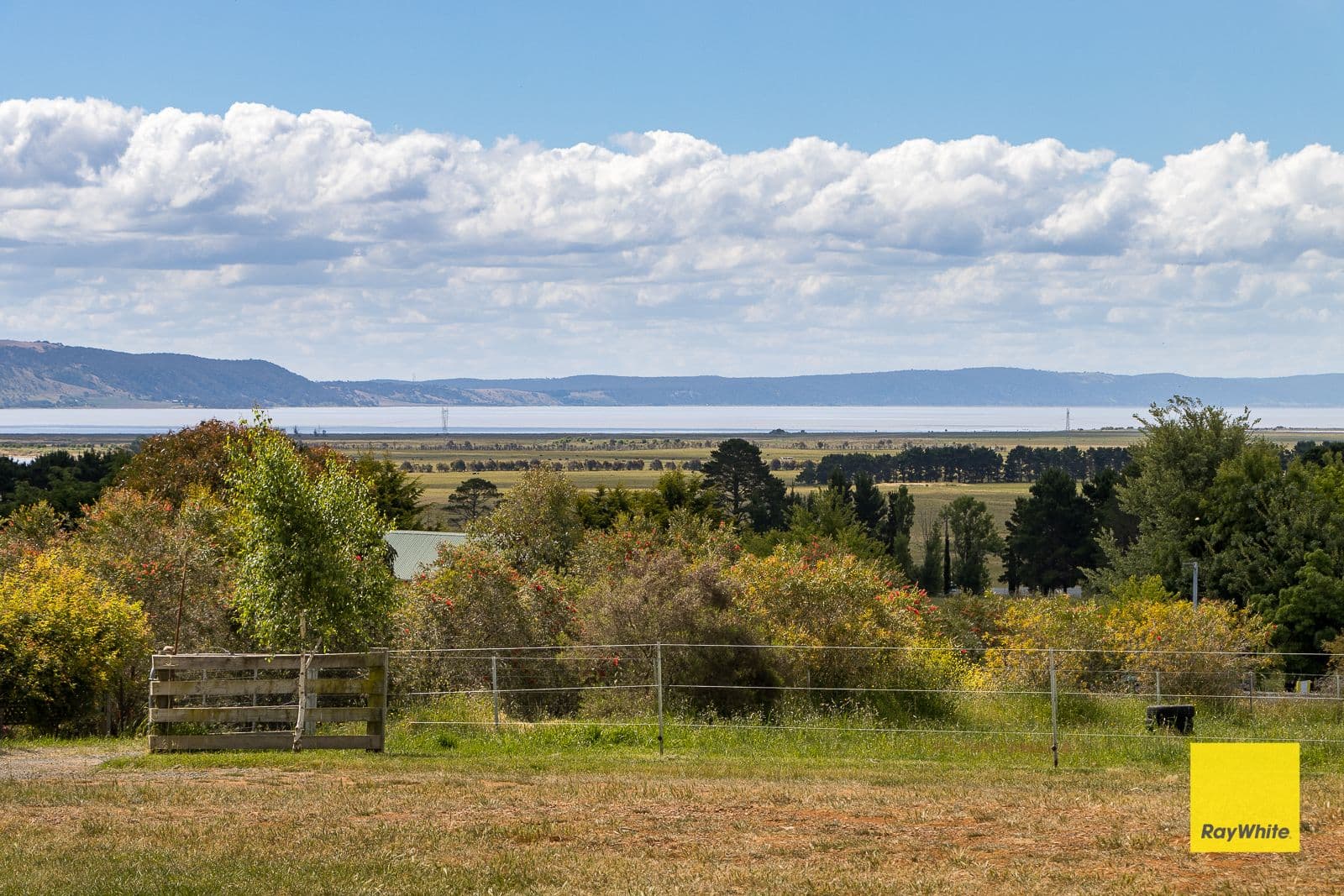 19 Sorrell Close, Bungendore NSW 2621, Bungendore - Thumbnail 3
