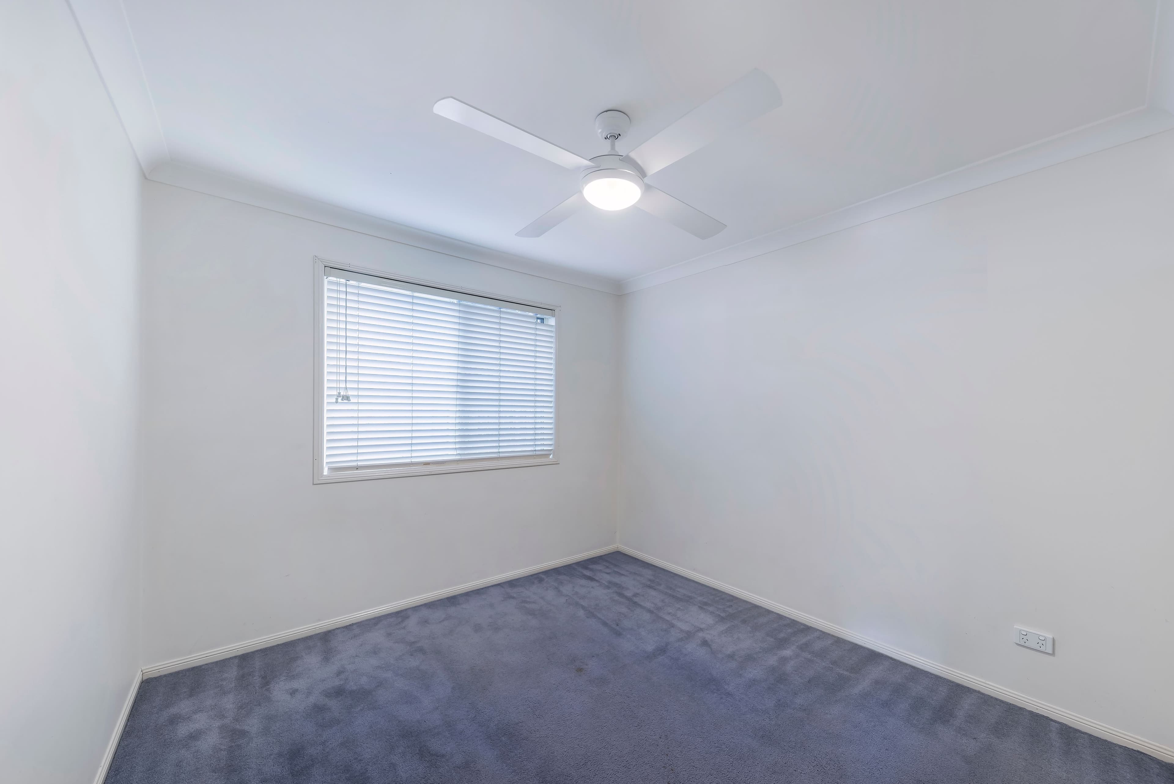 12 Lilley Street, Hendra QLD 4011, Hendra - Thumbnail 4