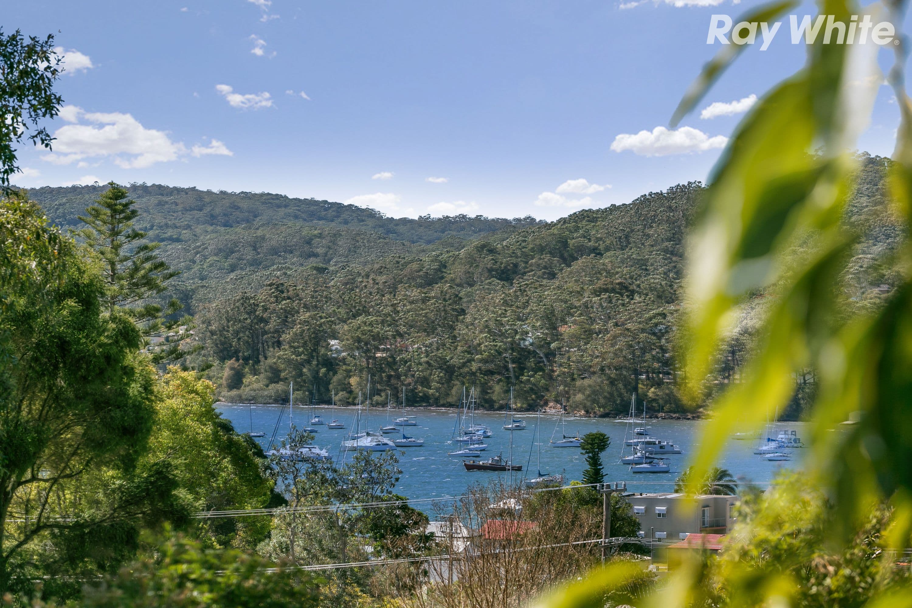 39 The Corso, Saratoga NSW 2251, Saratoga - Thumbnail 5