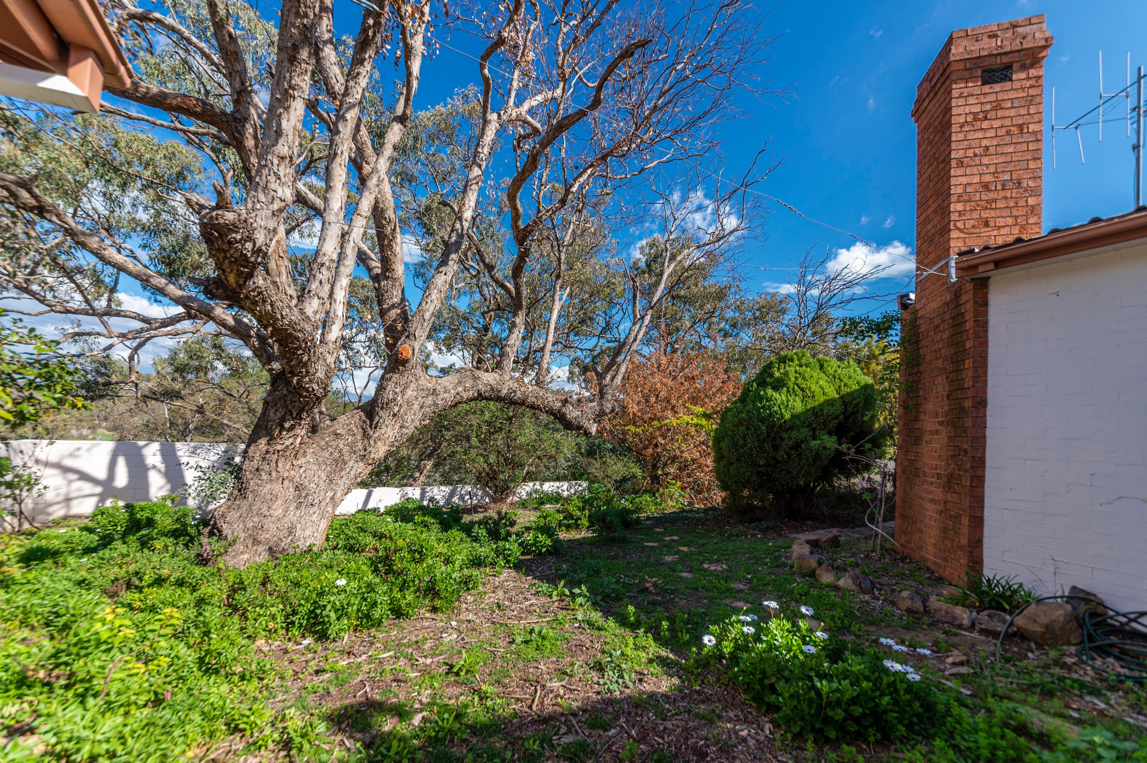 20 Beaumont Crescent, The Ridgeway NSW 2620, The Ridgeway - Thumbnail 7