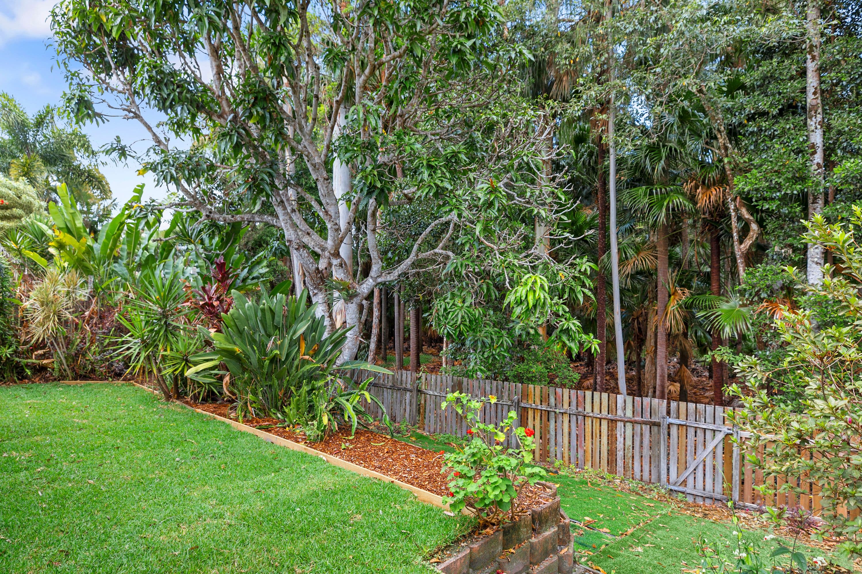 90 Griffith Avenue, Tewantin QLD 4565, Tewantin - Thumbnail 2