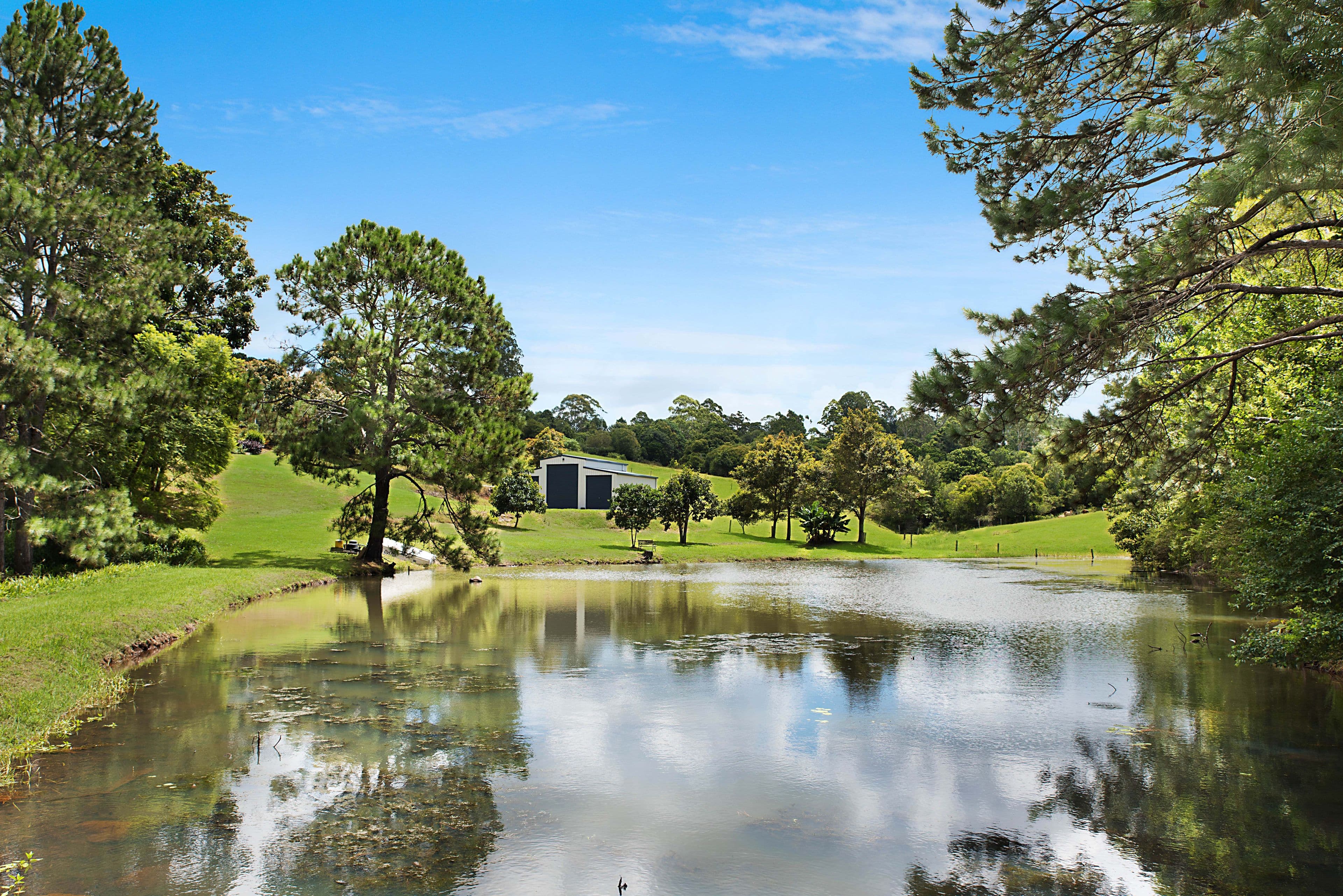 4 Currawong Drive, Maleny QLD 4552, Maleny - Thumbnail 3