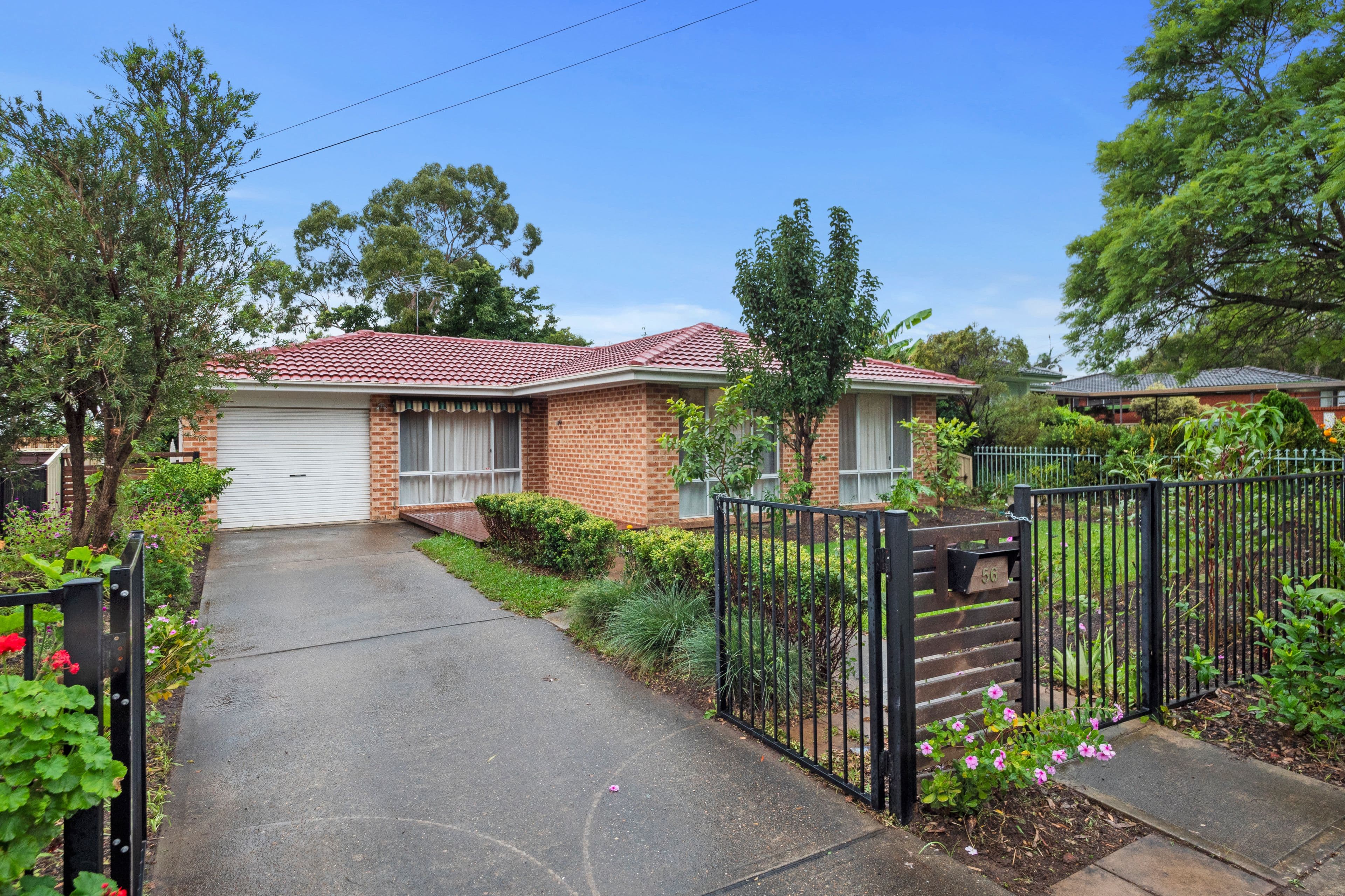 56 Terrigal Street, Marayong NSW 2148, Marayong - Thumbnail 2