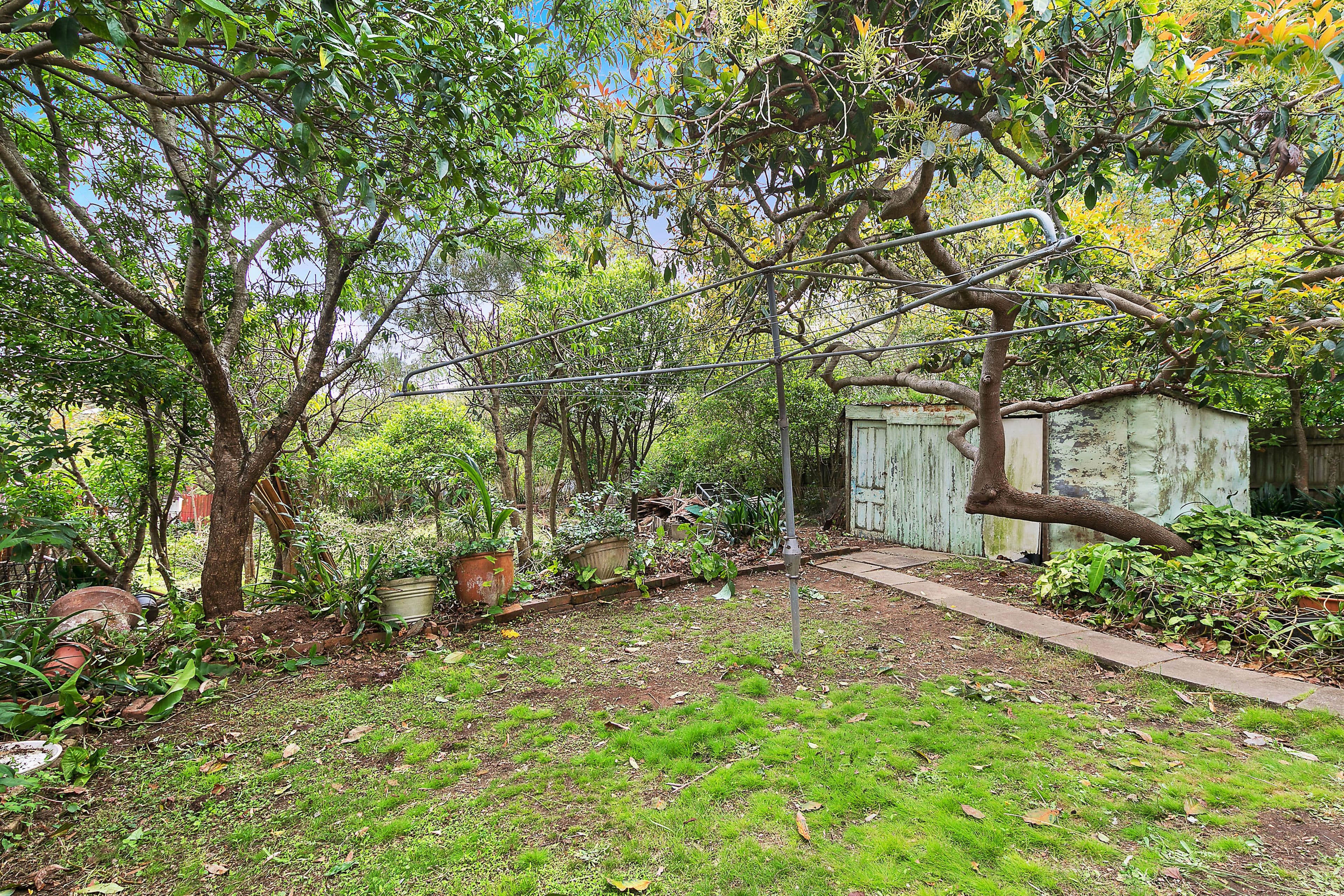48 Pretoria Parade, Hornsby - Thumbnail 5
