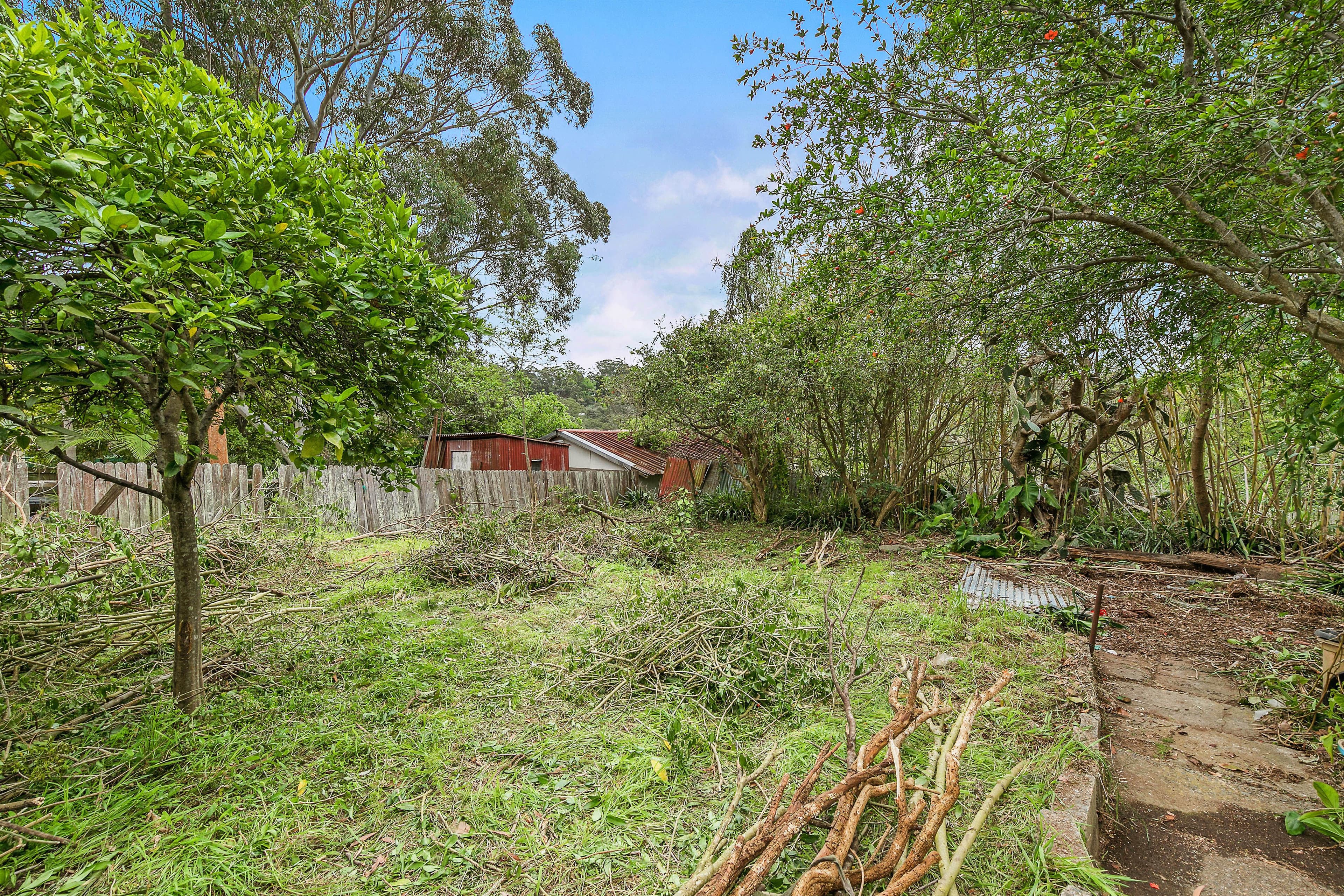 48 Pretoria Parade, Hornsby - Thumbnail 8