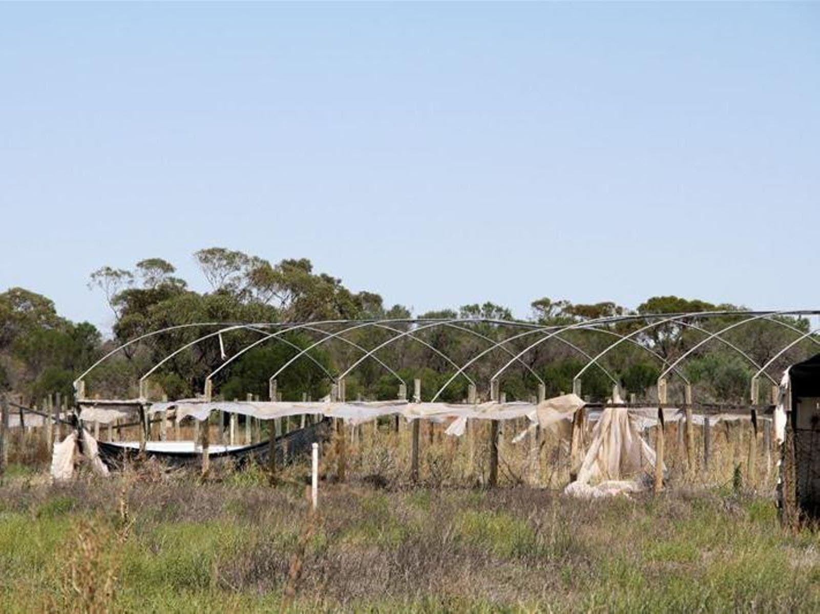 29 Koorlong Avenue Extension, Irymple - Thumbnail 5