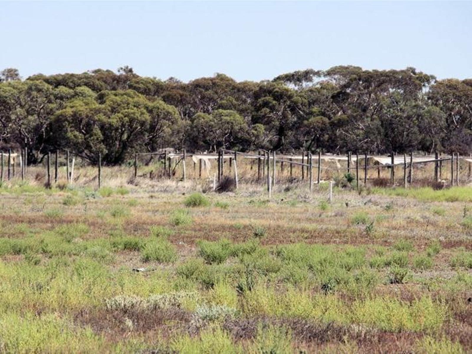 29 Koorlong Avenue Extension, Irymple - Thumbnail 7