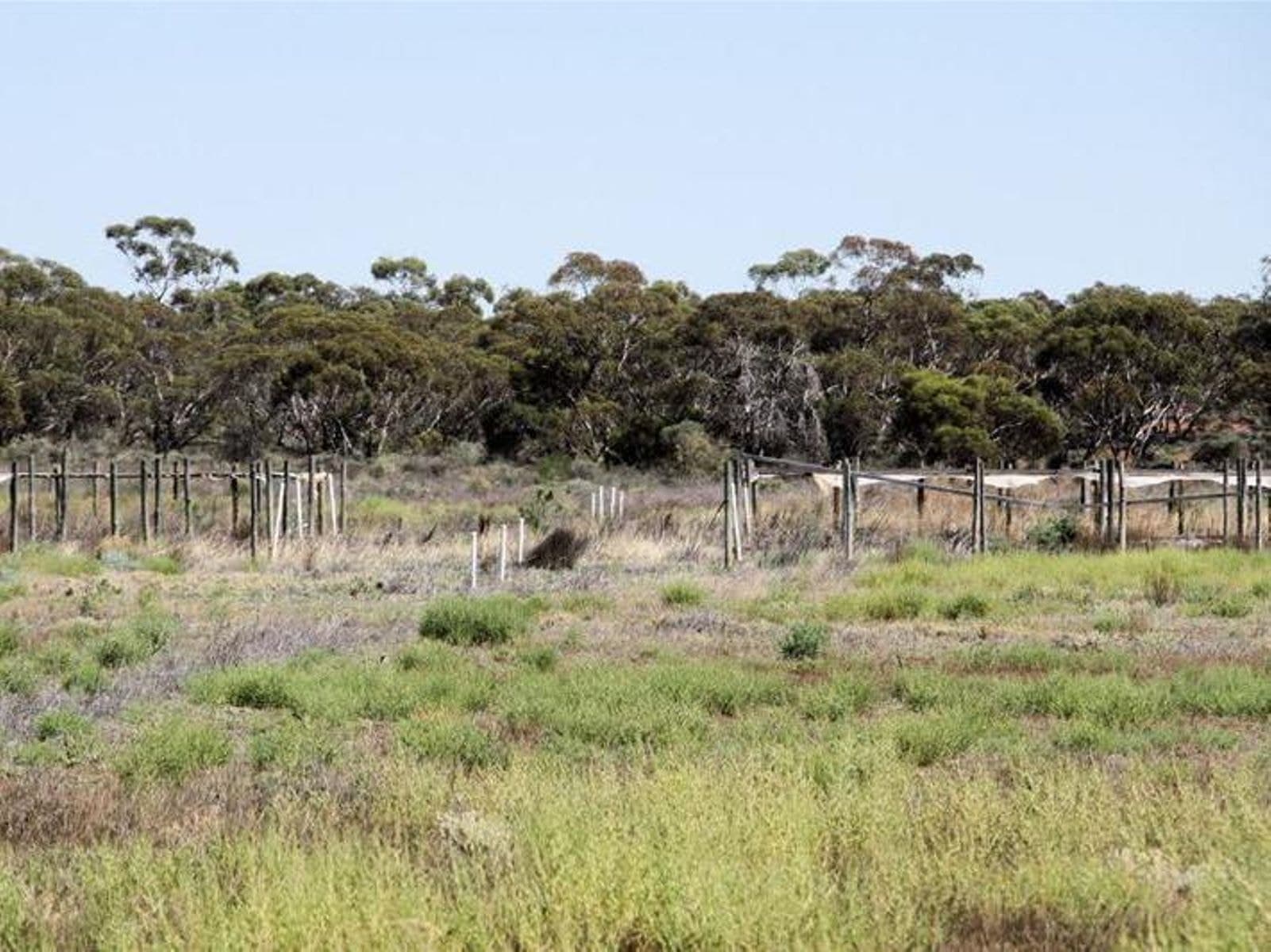 29 Koorlong Avenue Extension, Irymple - Thumbnail 8