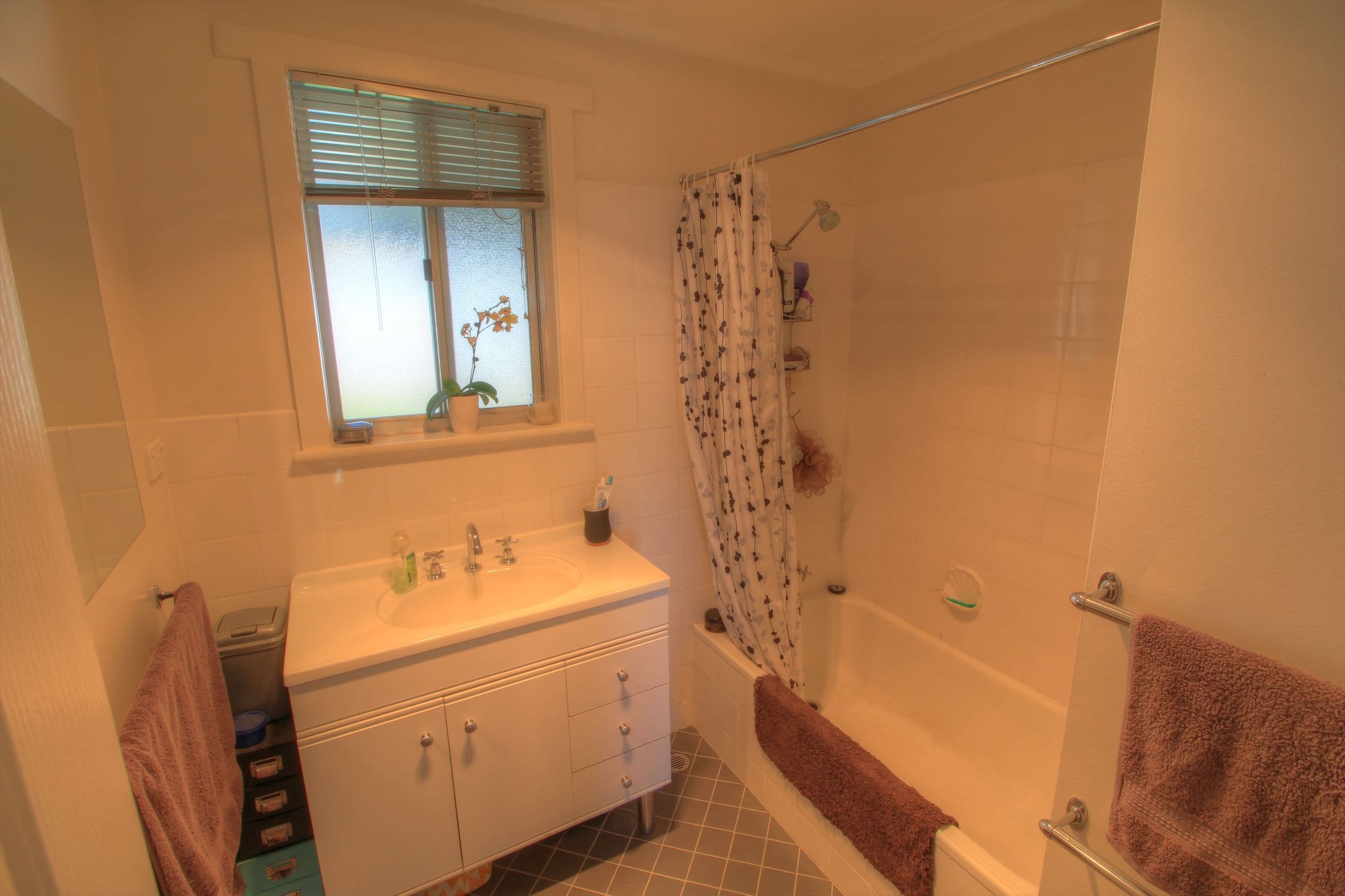 17 Kelly Avenue, Barmera SA 5345, Barmera - Thumbnail 6