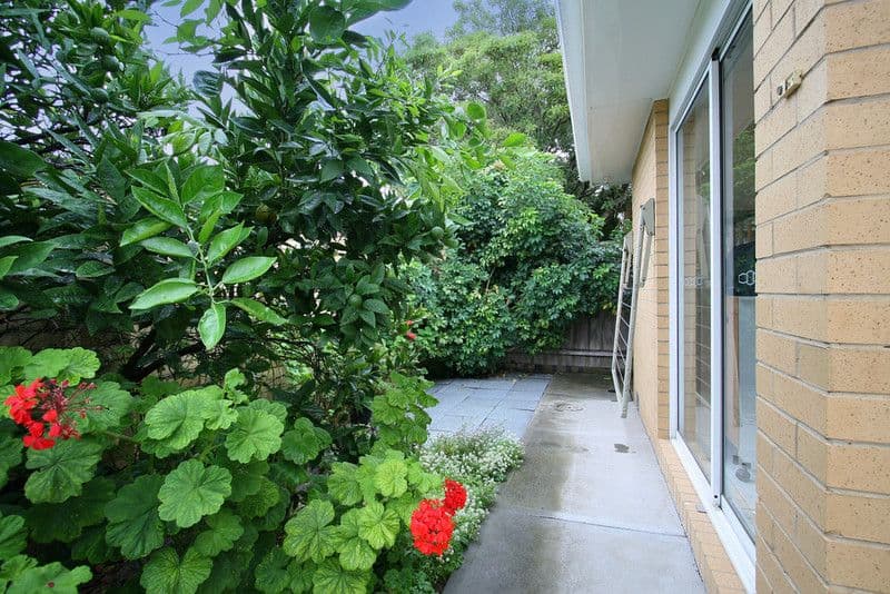 188 Bignell Road, BENTLEIGH EAST VIC 3165, Bentleigh East - Thumbnail 6