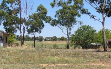 50 Lyall Street, COWRA NSW 2794, Cowra - Image 1
