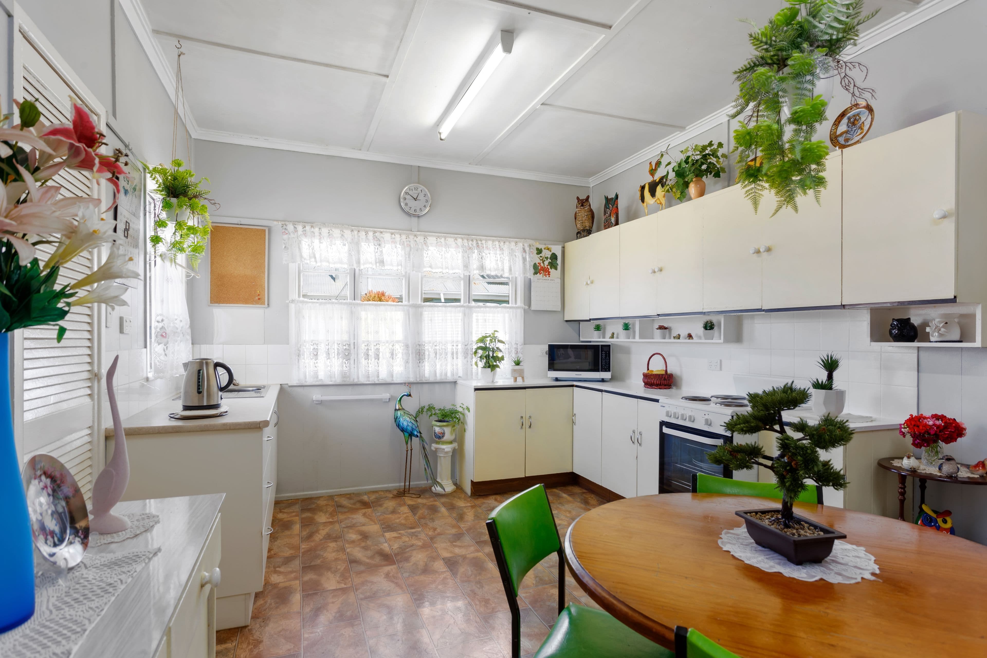8 Briggs Street, Pittsworth QLD 4356, Pittsworth - Thumbnail 5