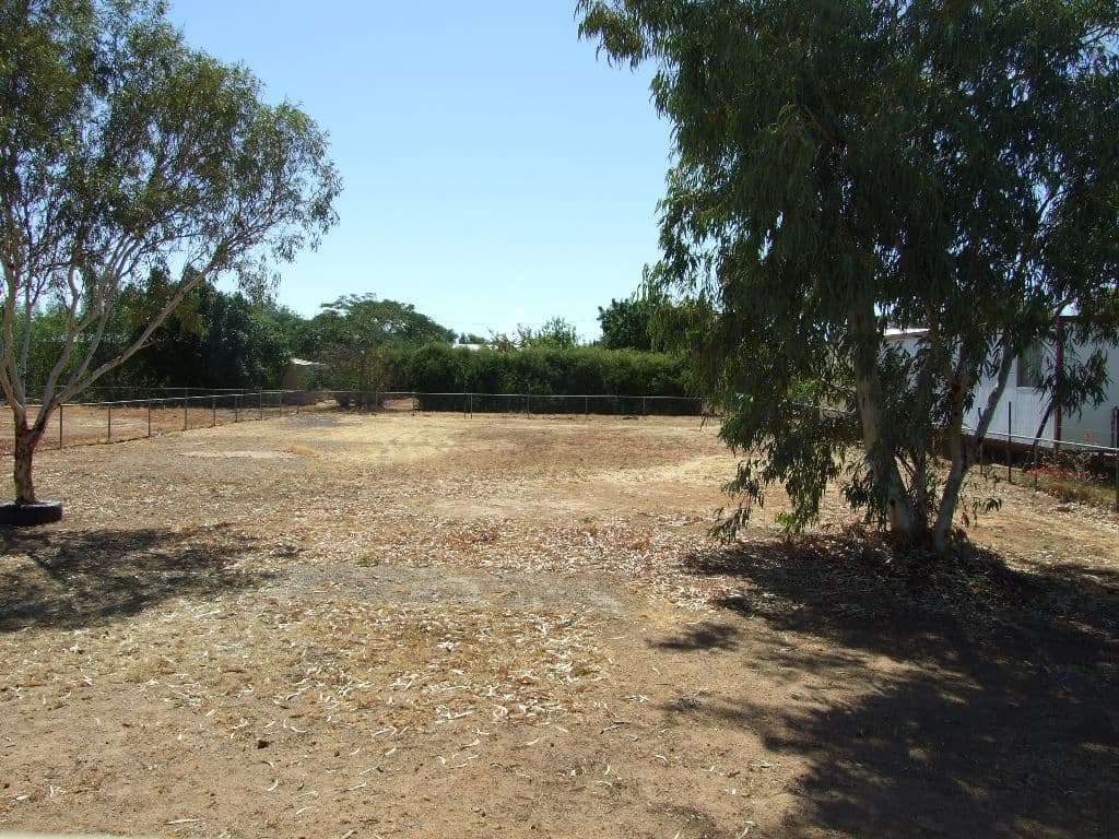 7 Chirnside Street, WINTON QLD 4735, Winton - Thumbnail 6
