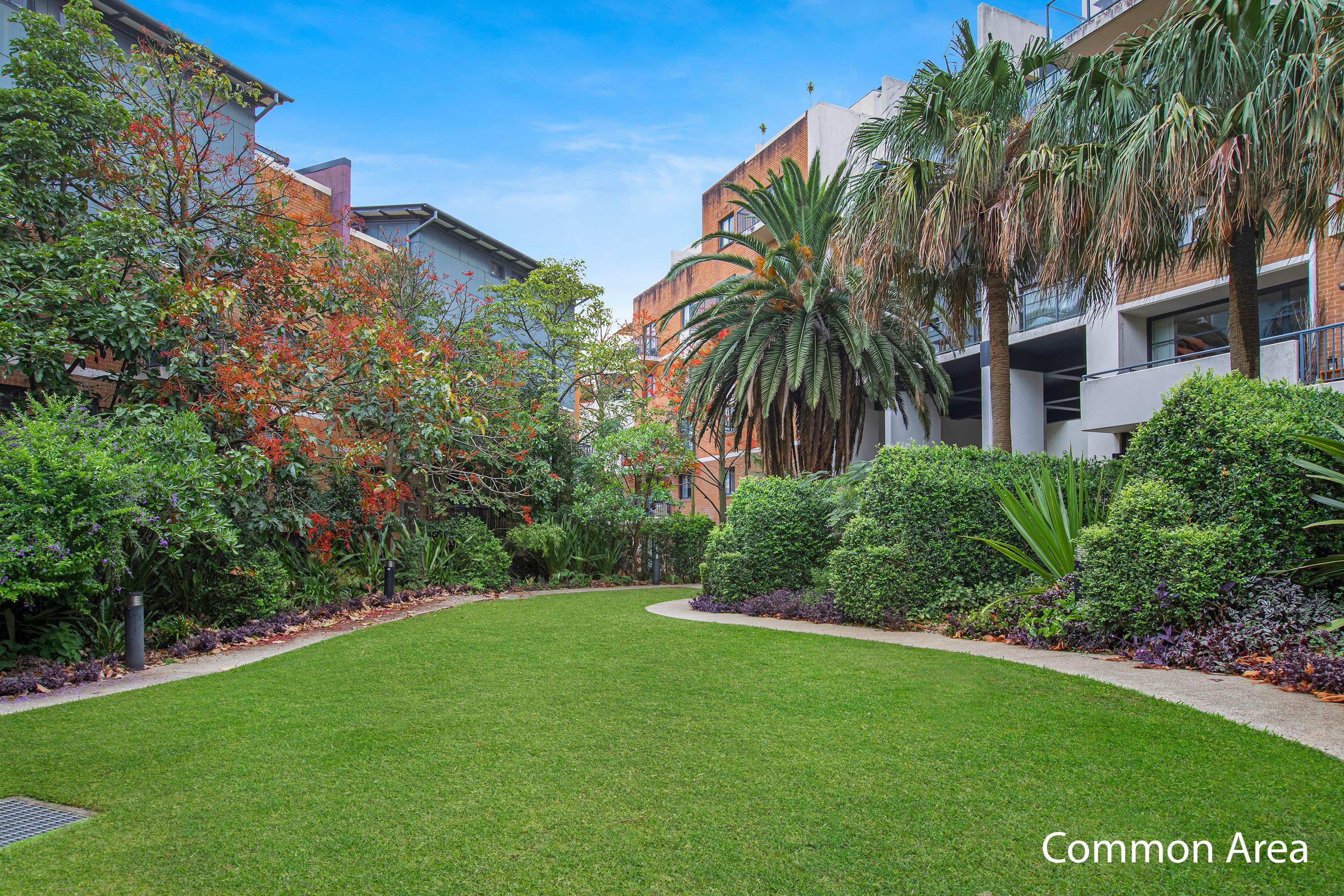 10 Fitzgerald Street, Newtown NSW 2042, Newtown - Thumbnail 8