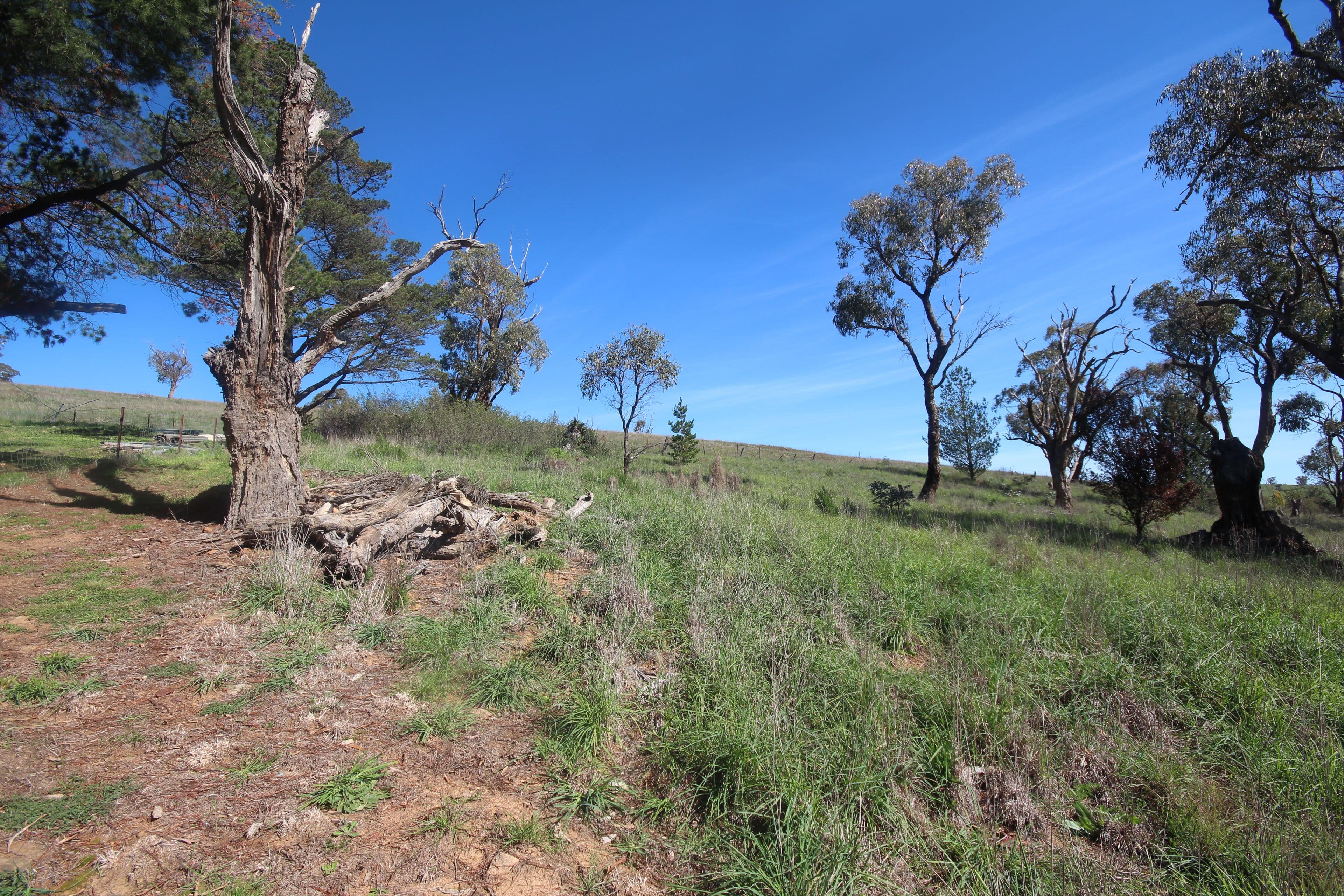34 Parkes Street, Rockley NSW 2795, Rockley - Thumbnail 3
