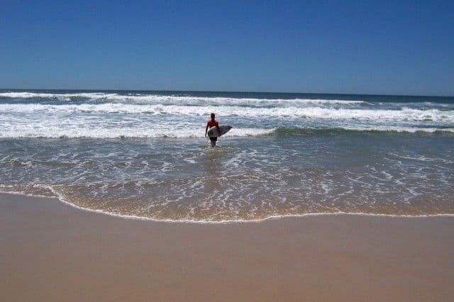 8 Fairway Avenue, Barmera, SA, 5345, Barmera - Thumbnail 4