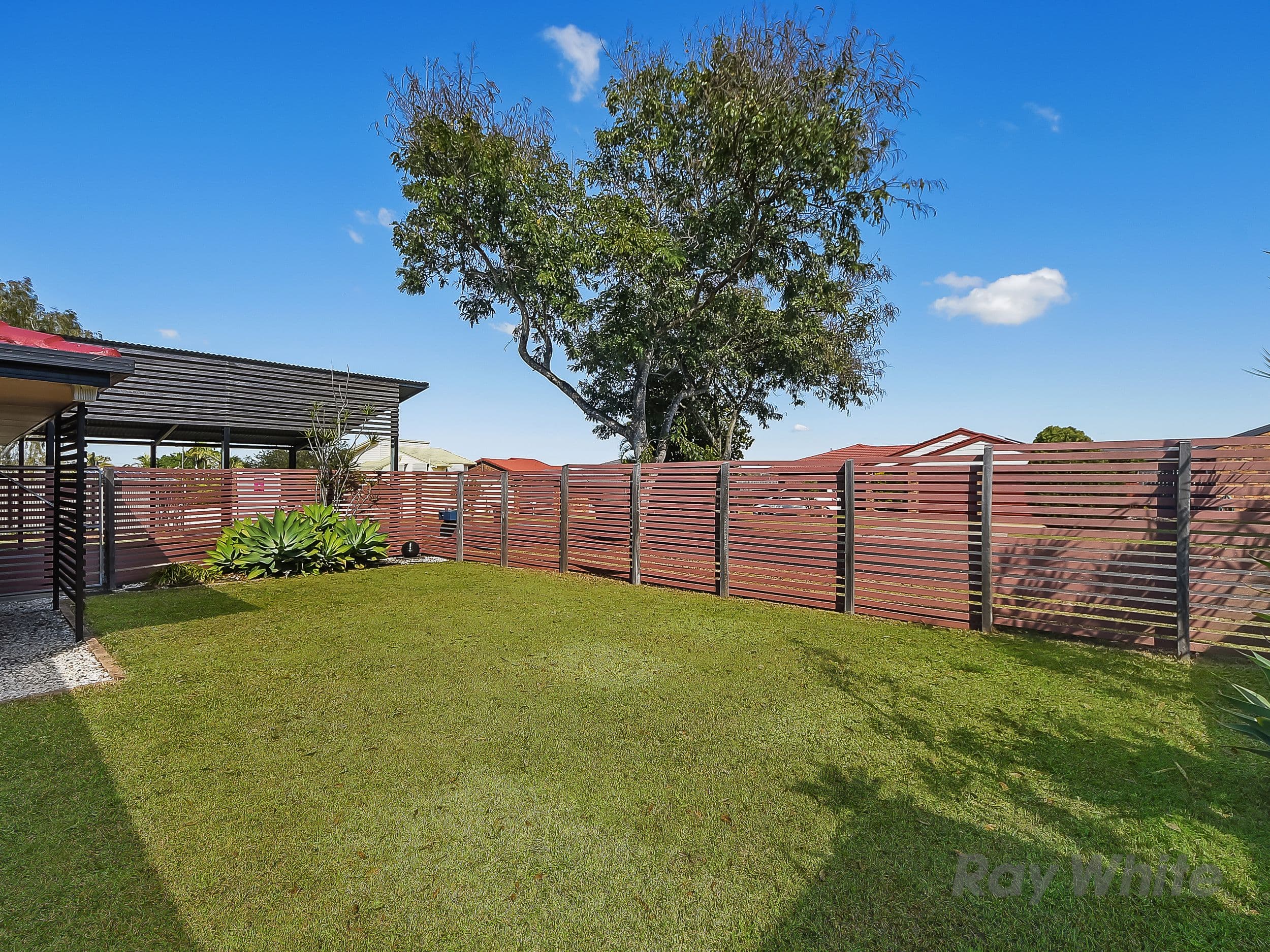 3 Hartree Court, Bracken Ridge QLD 4017, Bracken Ridge - Thumbnail 5