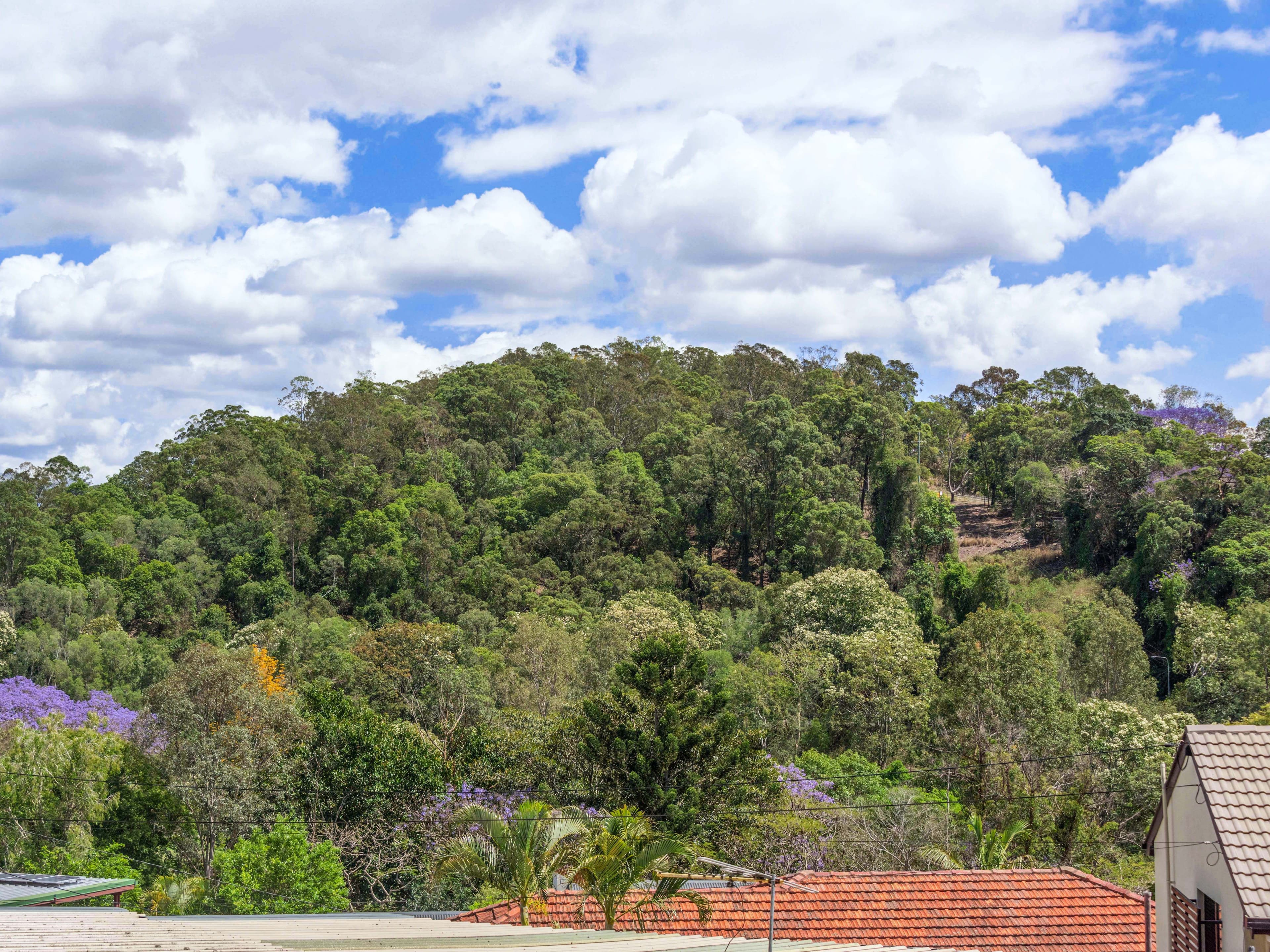 33 Conifer Street, Alderley QLD 4051, Alderley - Thumbnail 5