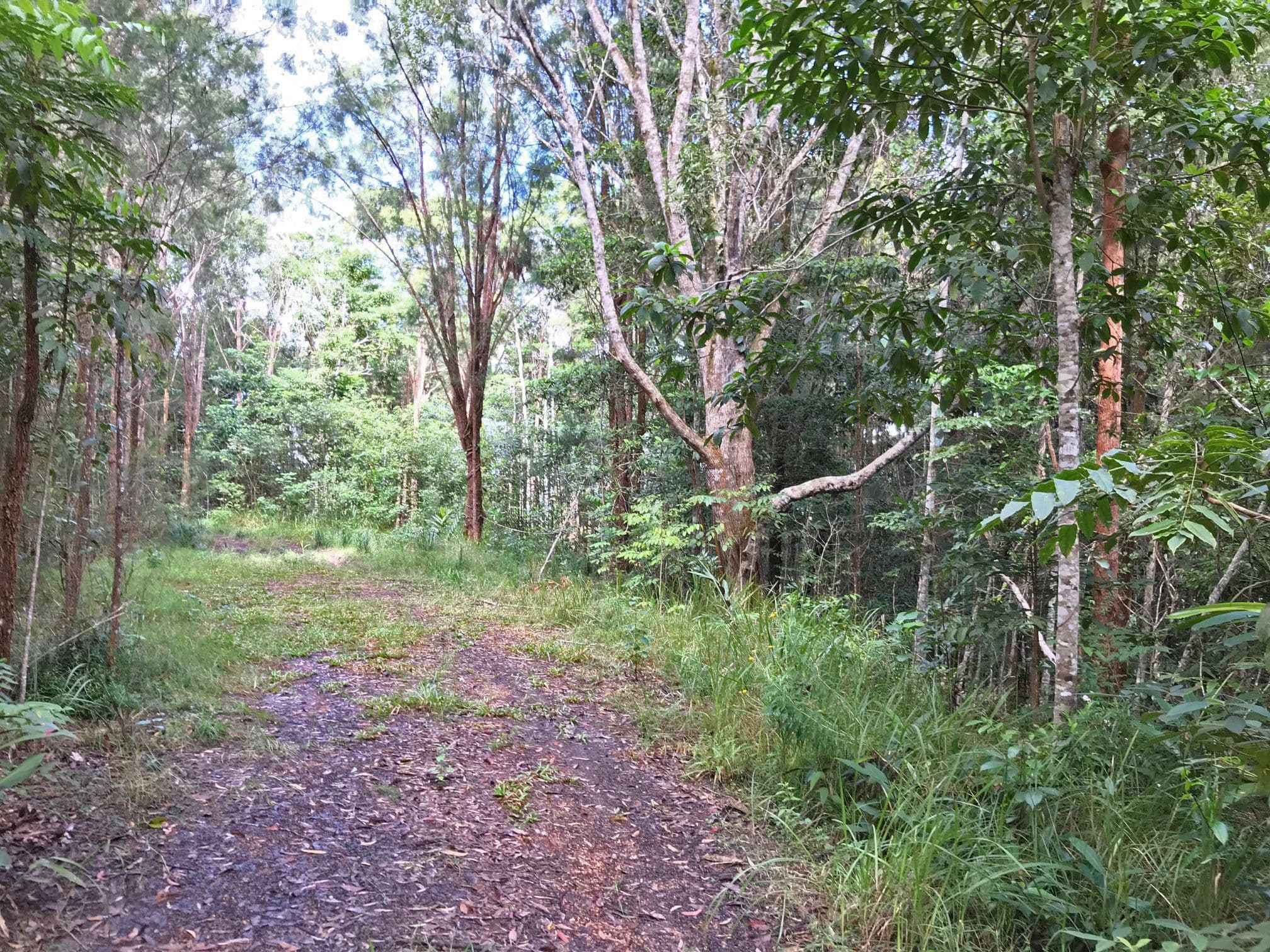 Barrine QLD 4872, Barrine - Image 1