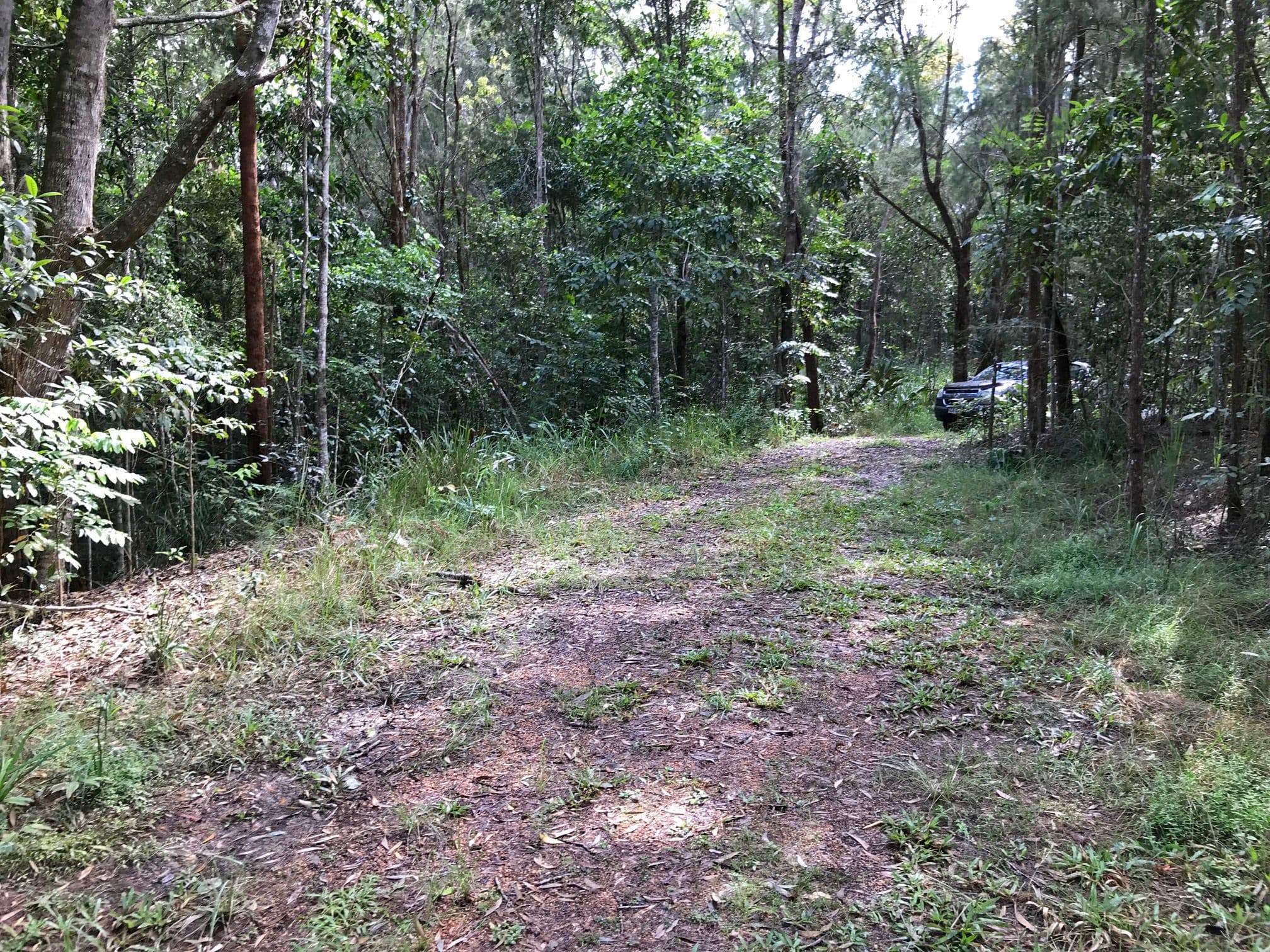 Barrine QLD 4872, Barrine - Thumbnail 3