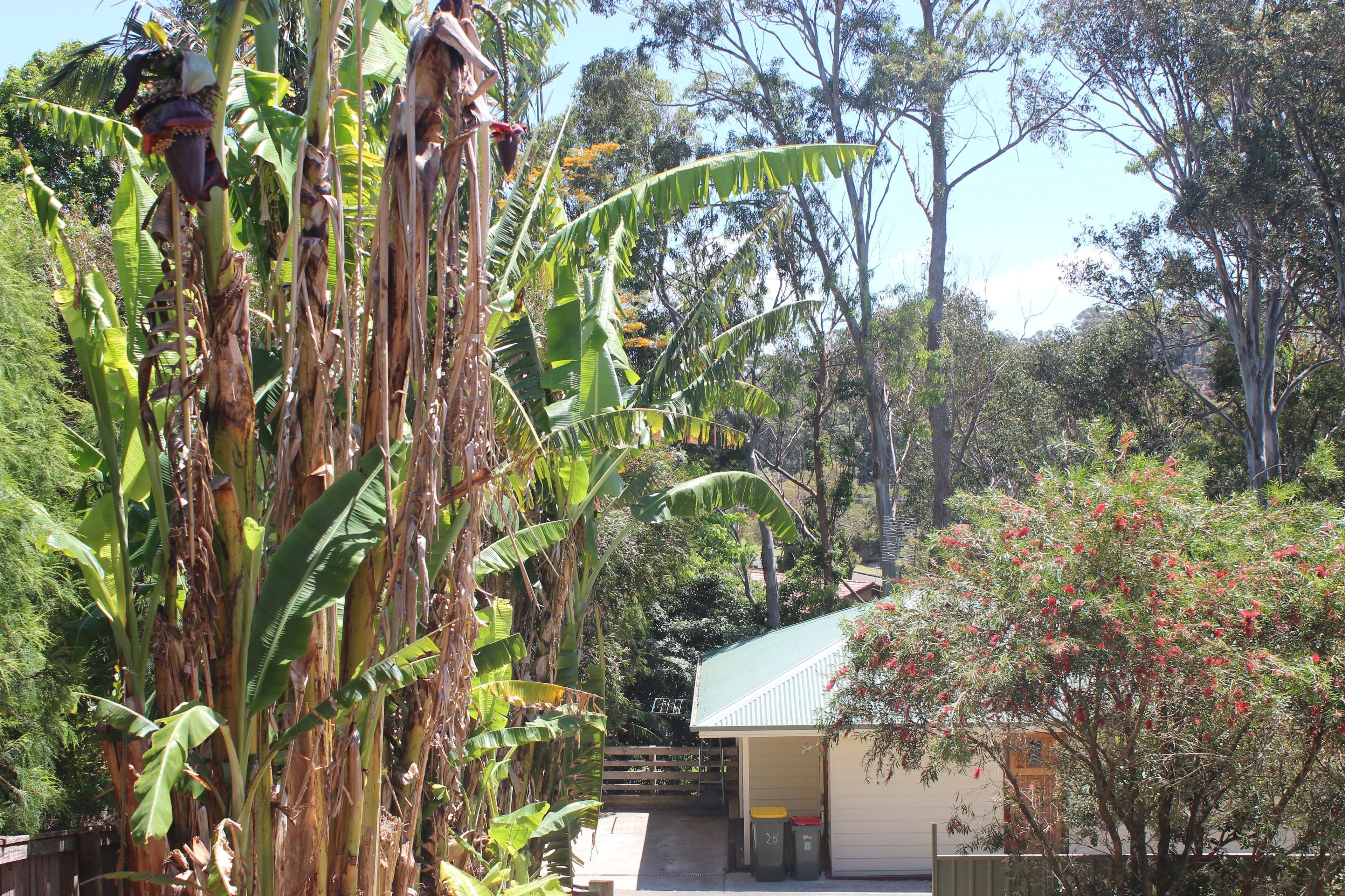 2 North East Place, Mollymook Beach - Thumbnail 7