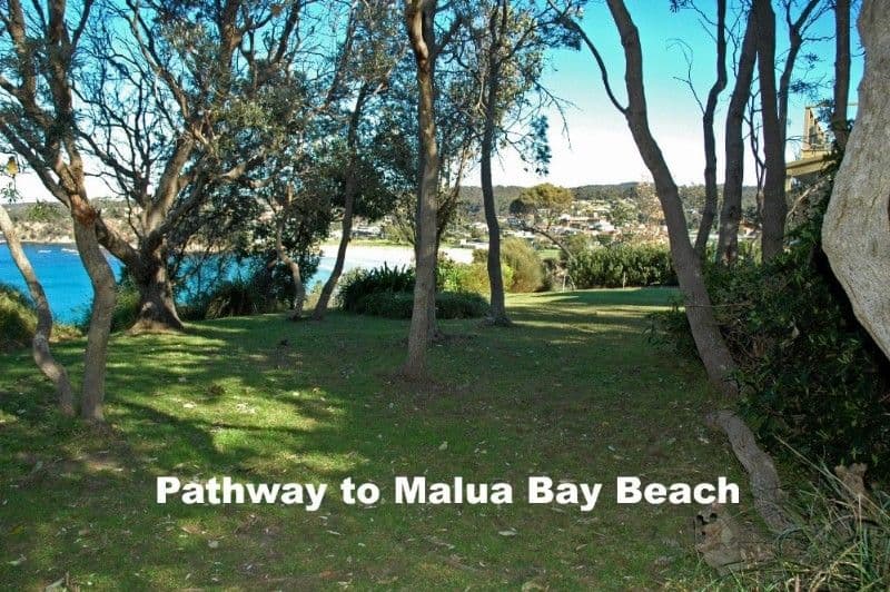 57A Tallawang Avenue, MALUA BAY NSW 2536, Malua Bay - Thumbnail 5