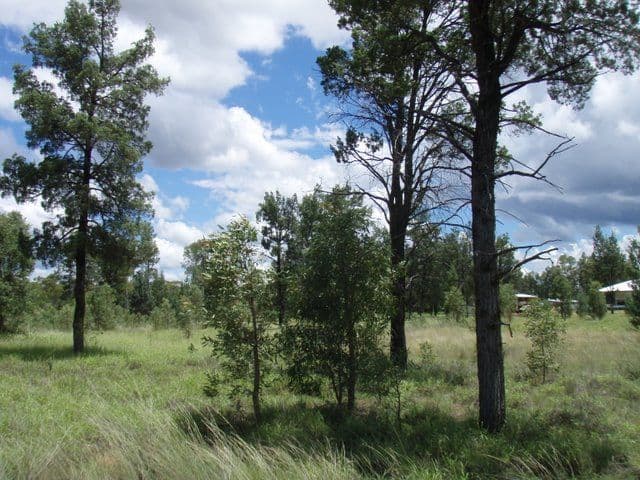 17 Banjarra Drive, Charleville QLD 4470, Charleville - Thumbnail 6