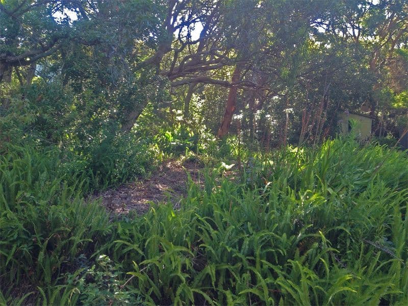 32 Grandview Crescent, KILLCARE NSW 2257, Killcare - Thumbnail 3